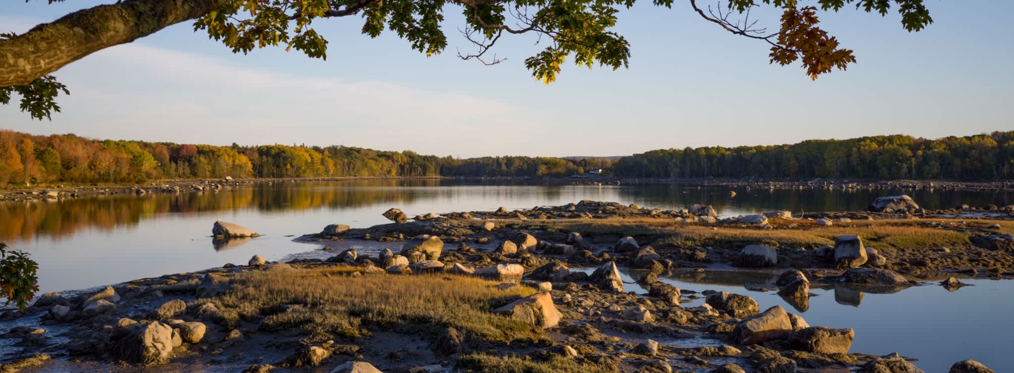 A serene waterfront scene at sunset showcases a calm body of water reflecting the sky, bordered by a rocky, marshy shoreline. A distant tree-lined bank displays hints of autumn colors under the warm light.