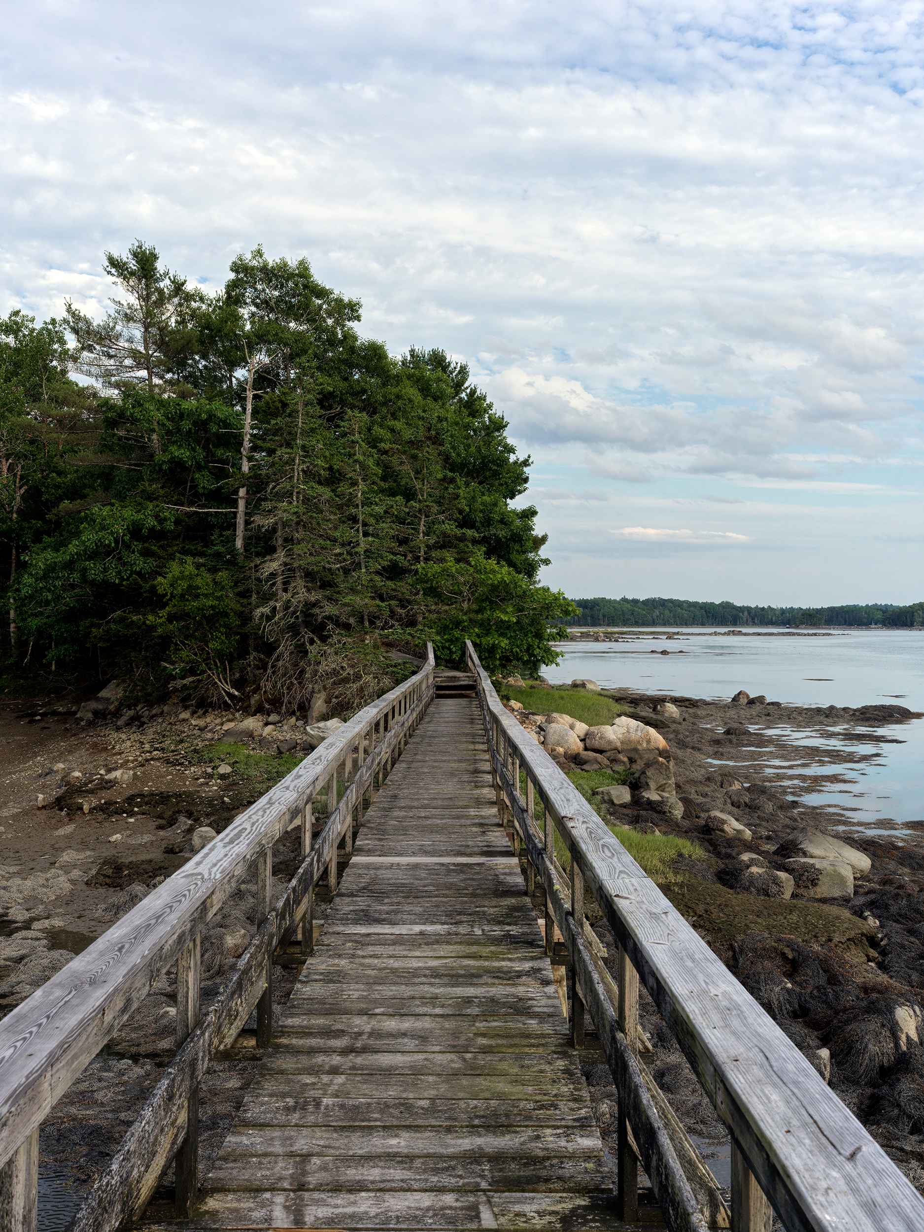 Dock