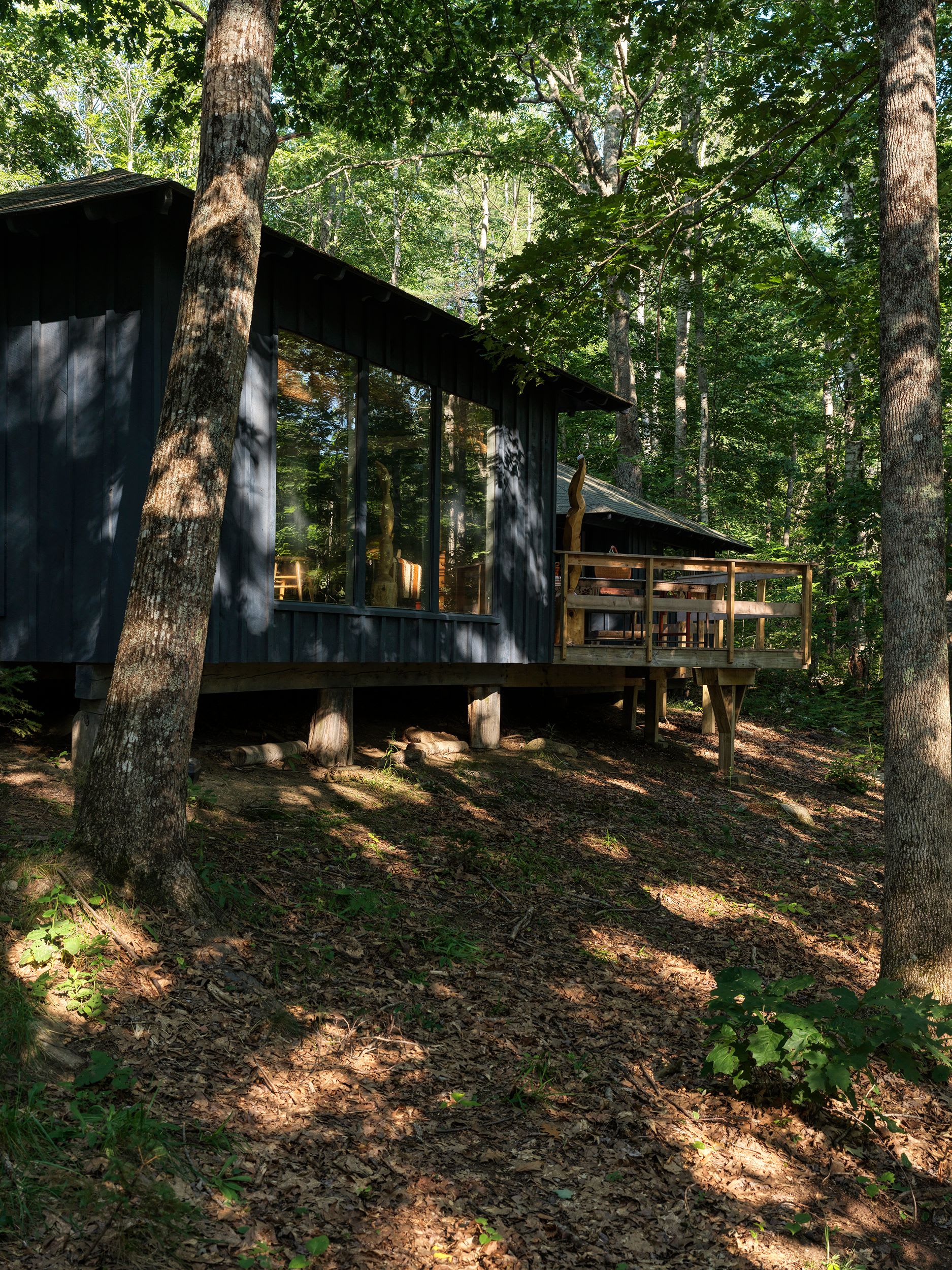A dark-painted cabin with large glass windows and a wooden deck is gracefully nestled into a forested hillside. Sunlight filters through the surrounding tall trees, casting shadows on the leafy ground.