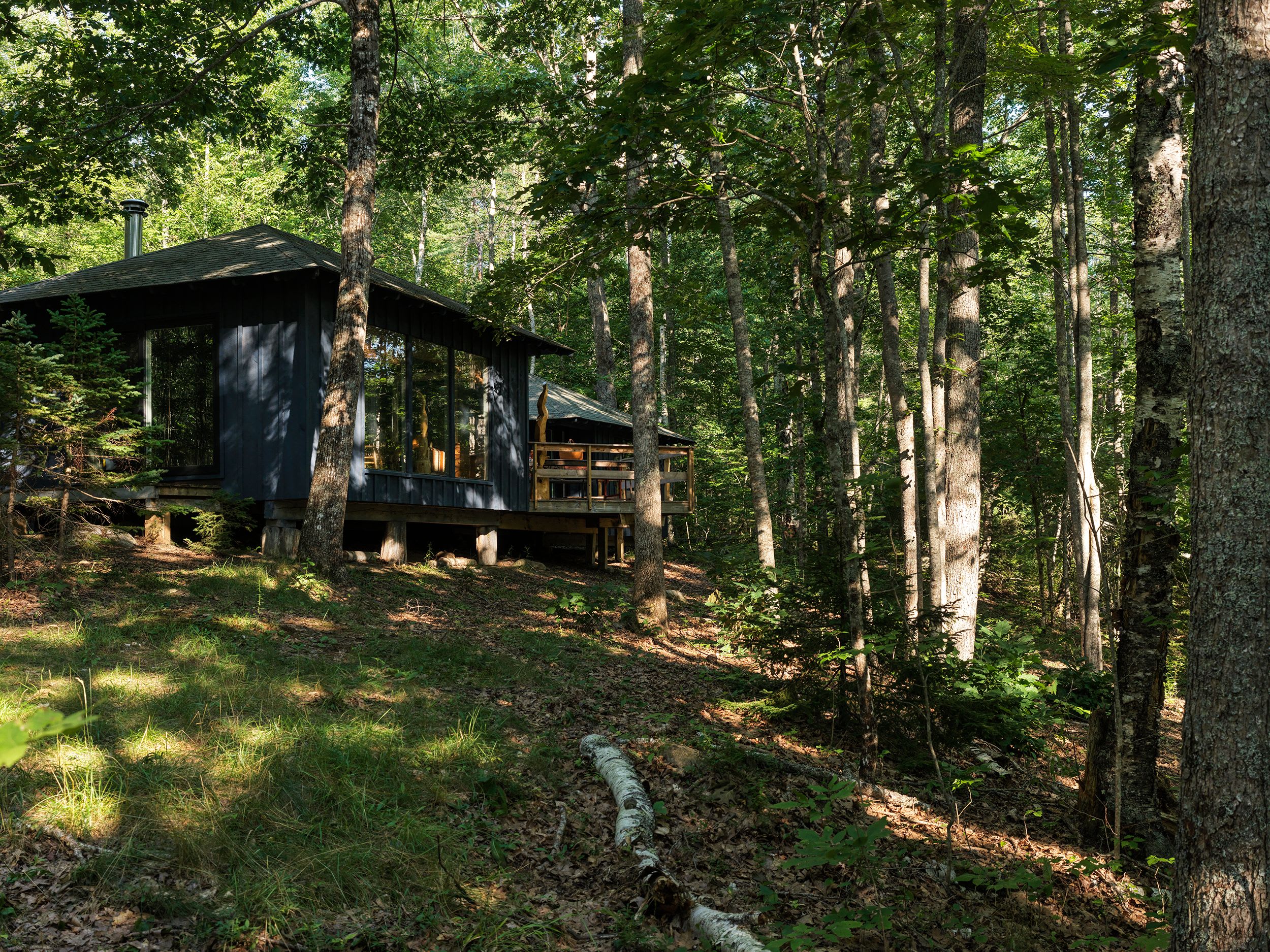 A modern dark-colored cabin with extensive glass windows and a wooden deck is situated on a wooded hillside, surrounded by mature trees. Sunlight creates a play of light and shadow on the ground.