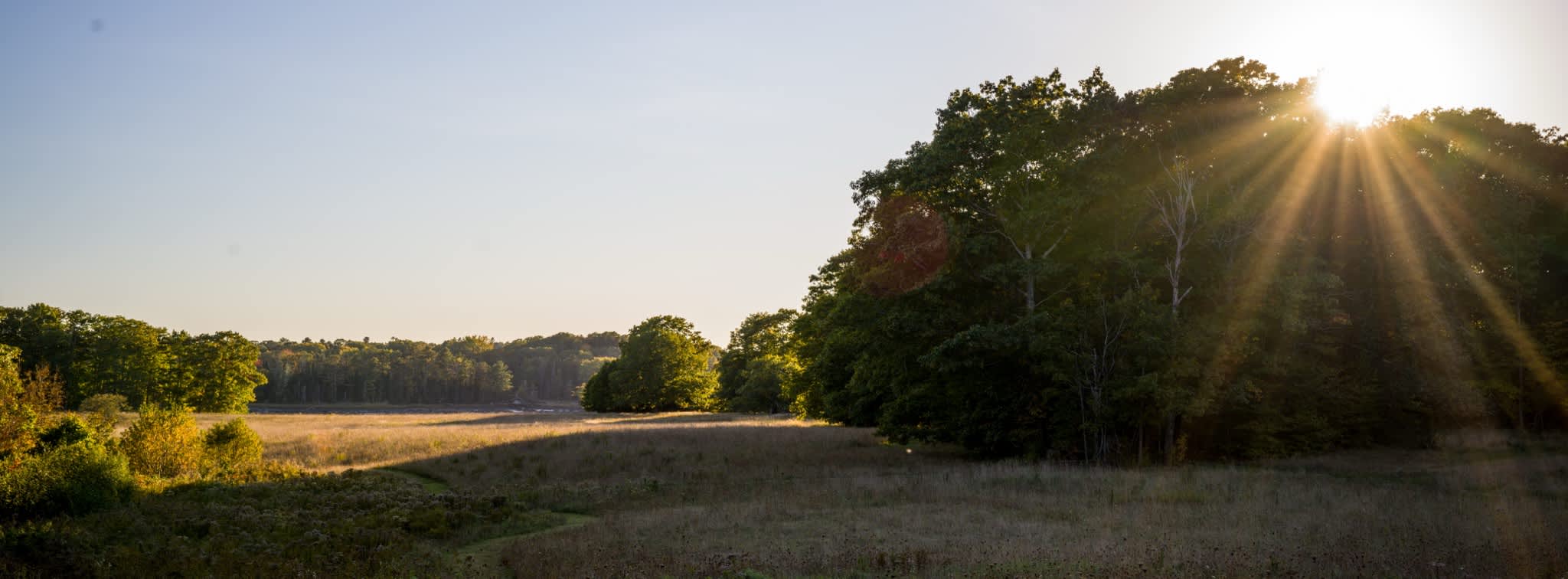 A scenic outdoor landscape featuring a sun-drenched grassy field in the foreground, bordered by a dense line of trees with bright sun rays peeking through, under a clear blue sky.