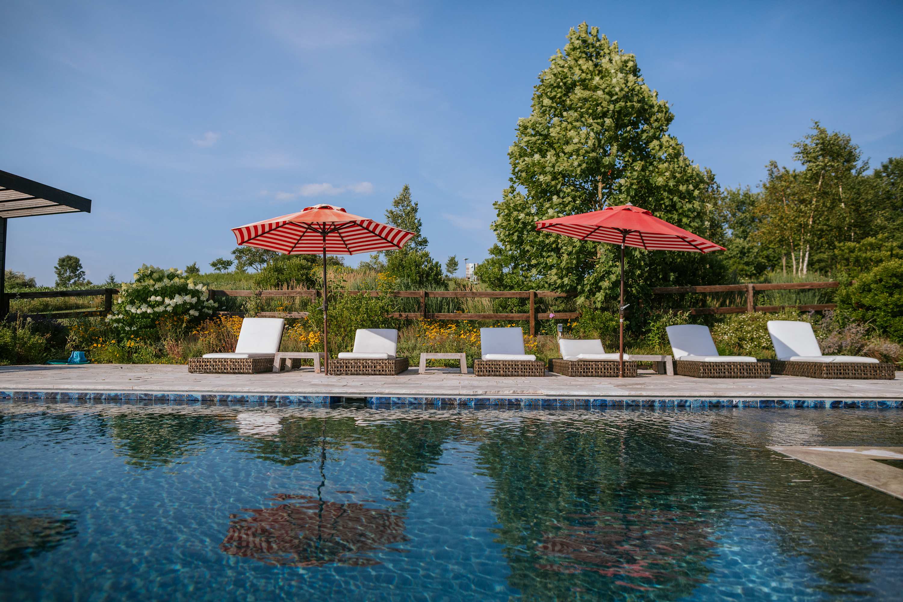 A poolside area features several white lounge chairs with red and white striped umbrellas, set on a light-colored stone patio next to a sparkling blue swimming pool, with a wooden fence and lush greenery in the background.