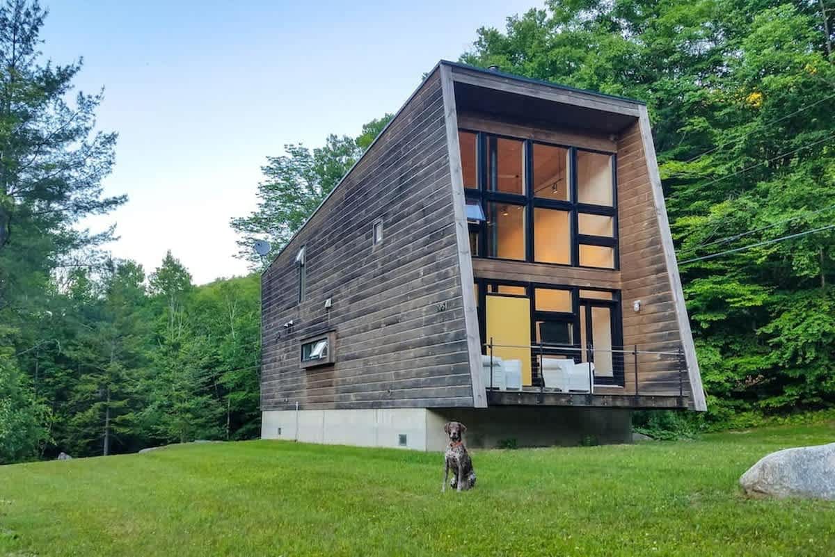 A contemporary A-frame style cabin with dark wood siding and expansive windows sits on a lush green lawn, surrounded by tall trees under a clear sky. A brown and white dog is seated calmly in the foreground, adding a touch of warmth to the modern design.