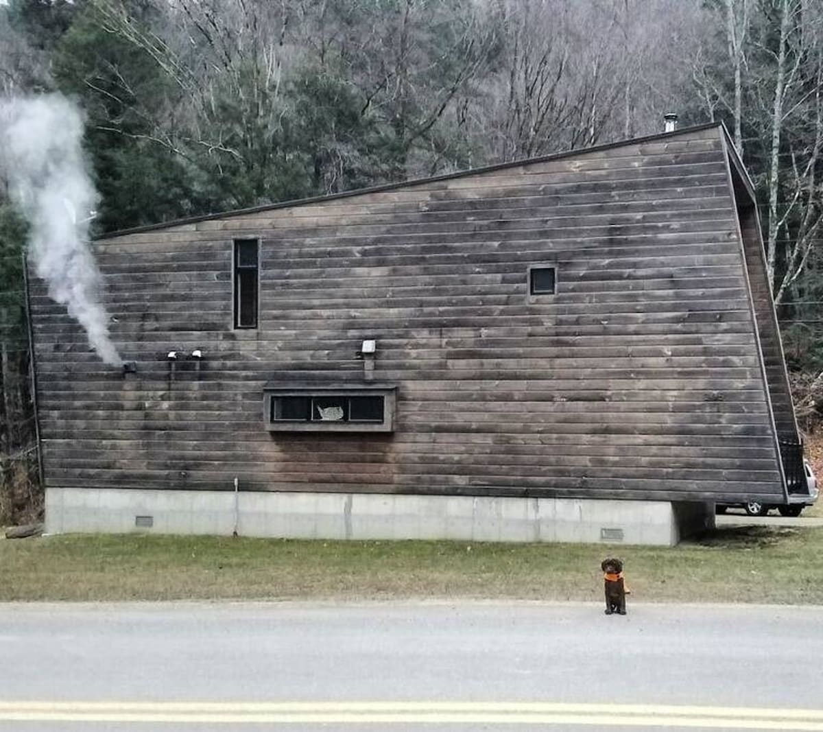 The modern cabin features dark, weathered wood siding and a distinctive angled roofline, with smoke rising from a chimney. A small dog stands on the paved road in front of the house, which is backed by a dense forest.