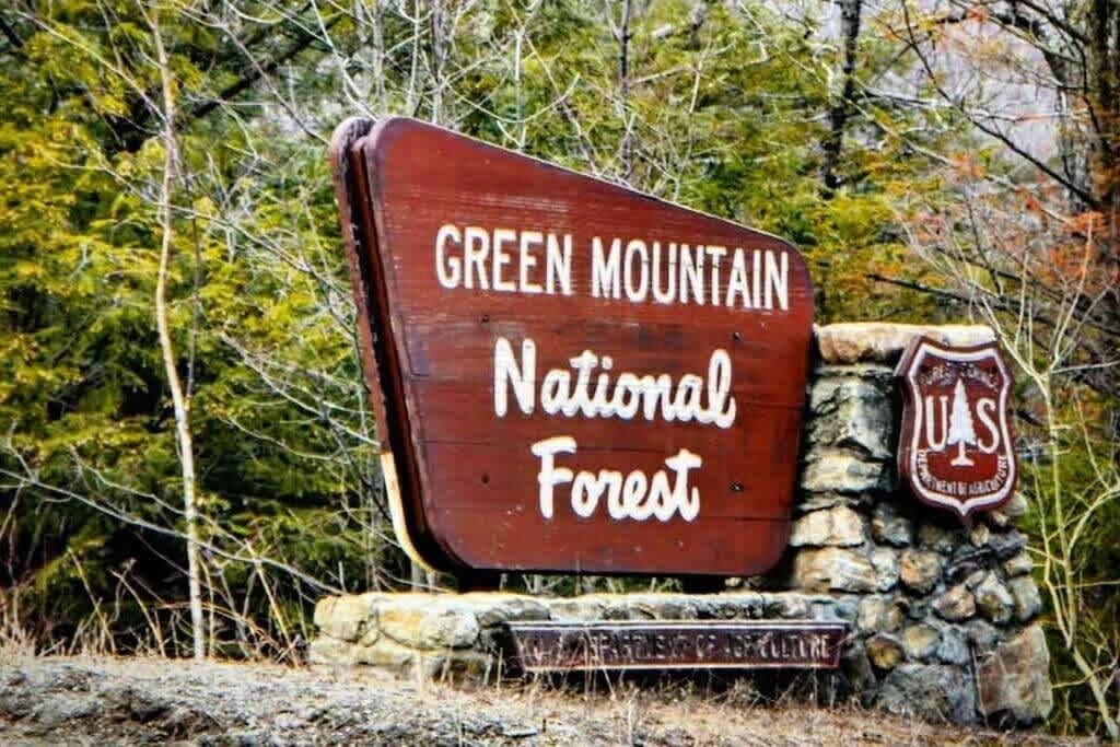 Rustic wooden sign for "GREEN MOUNTAIN National Forest" with a "UAS" emblem, set against a backdrop of green trees and foliage, indicating a nearby natural attraction.
