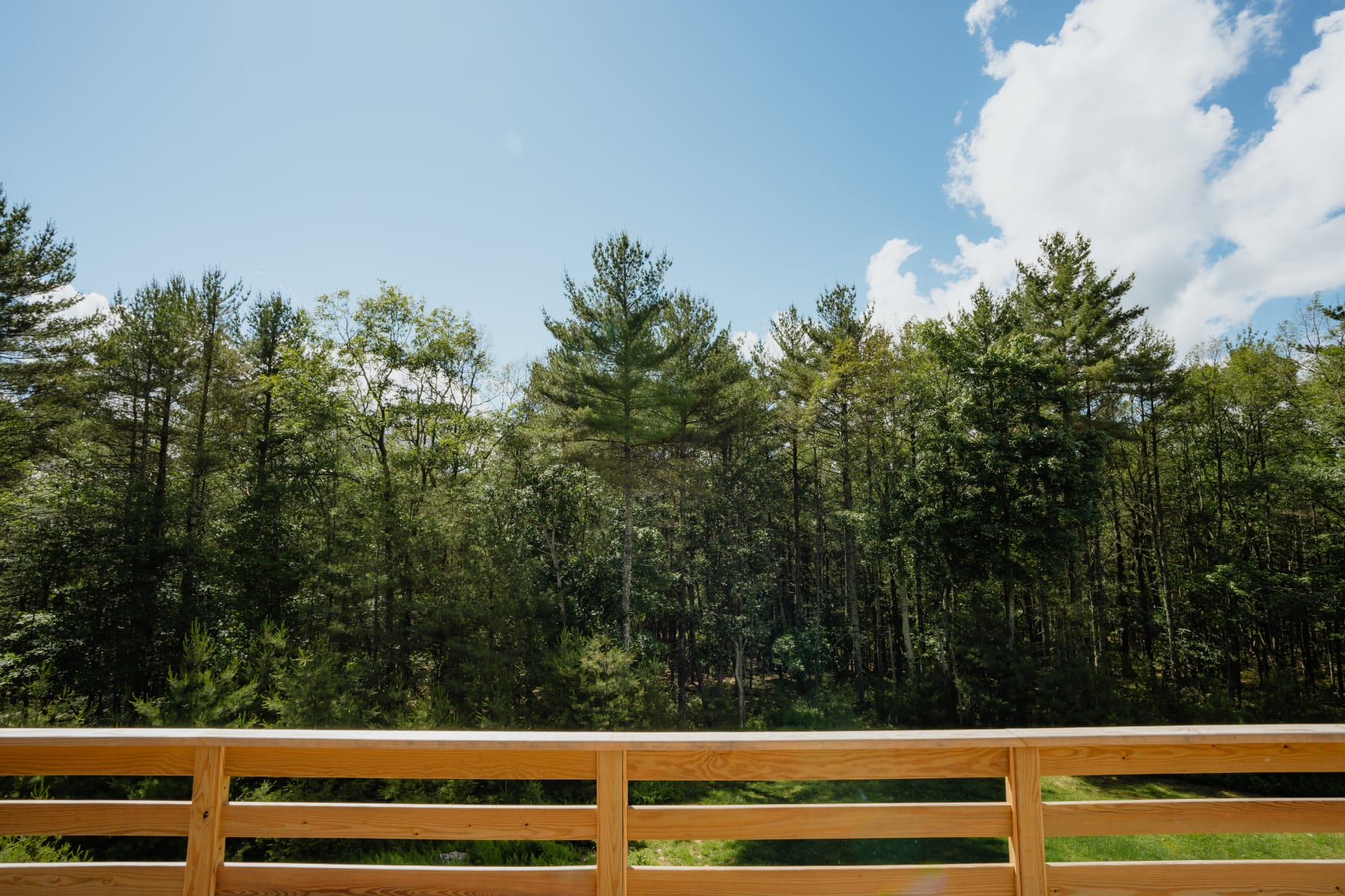 View from a wooden deck with a light-colored railing, showcasing a panoramic vista of a dense, vibrant green forest under a bright blue sky with scattered clouds.