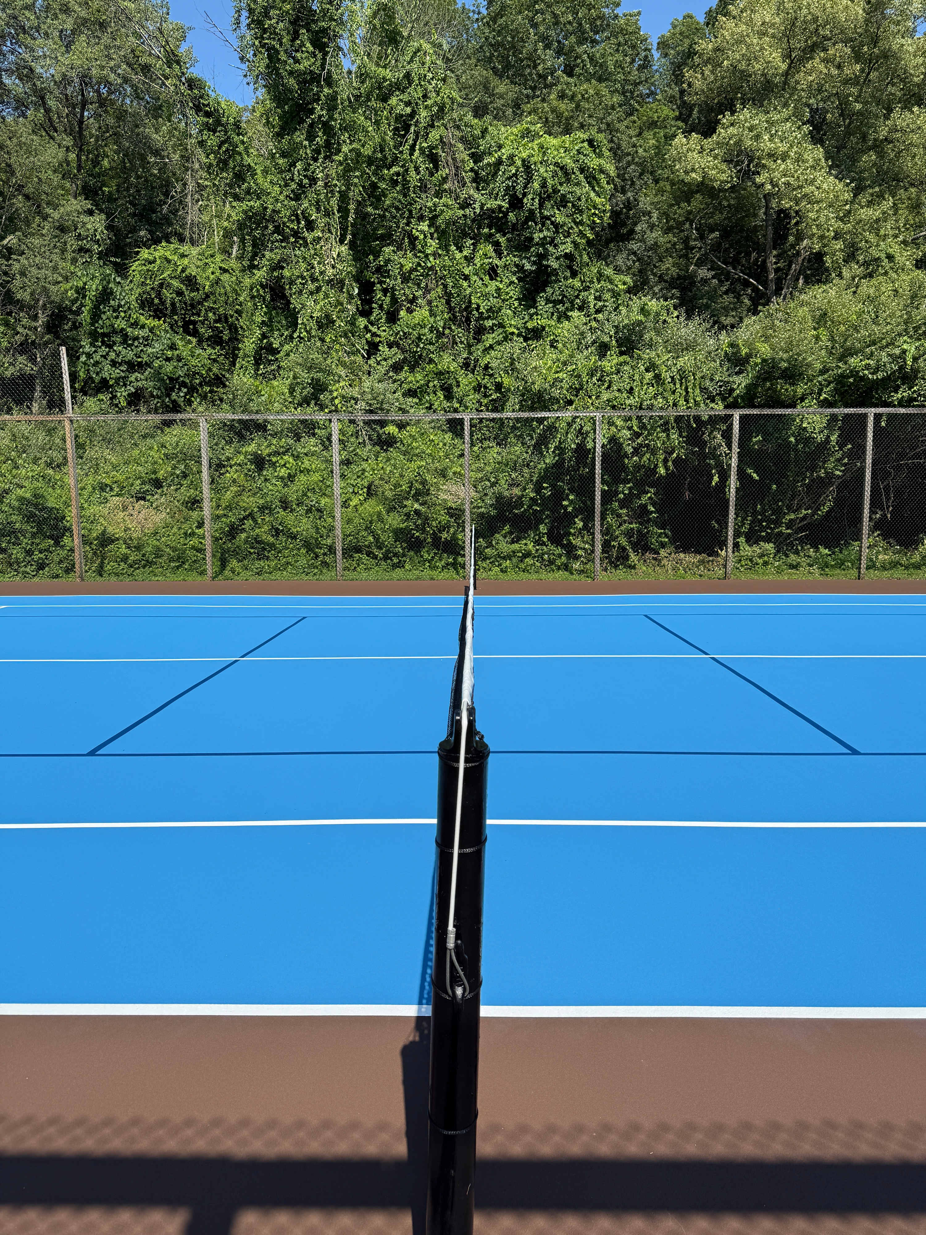 A view across a bright blue tennis court with white lines, featuring a black tennis net in the foreground, all surrounded by a chain-link fence and dense green trees under a clear sky.