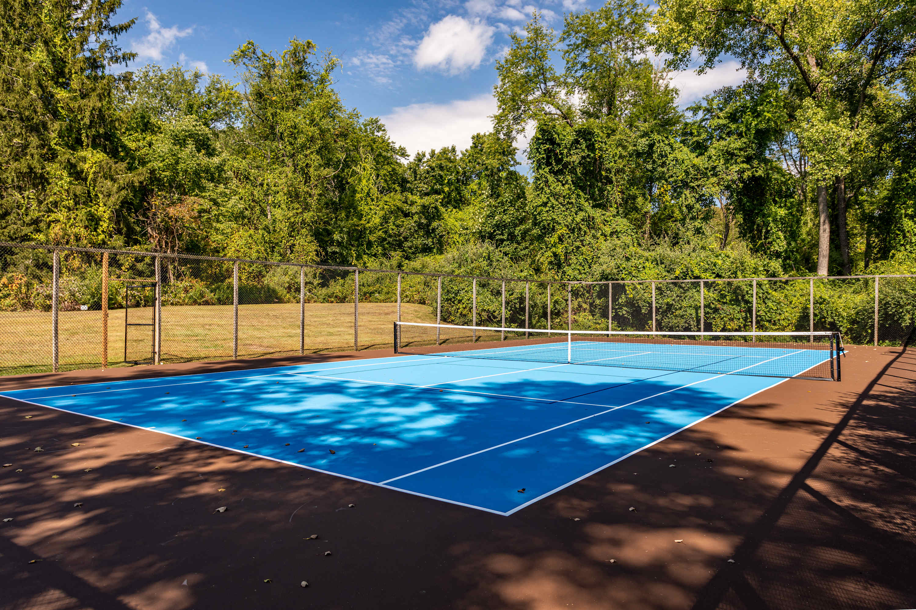 An expansive view of a vibrant blue tennis court with white lines, surrounded by a dark brown perimeter and a tall chain-link fence, all set against a backdrop of dense green trees under a bright, sunny sky.