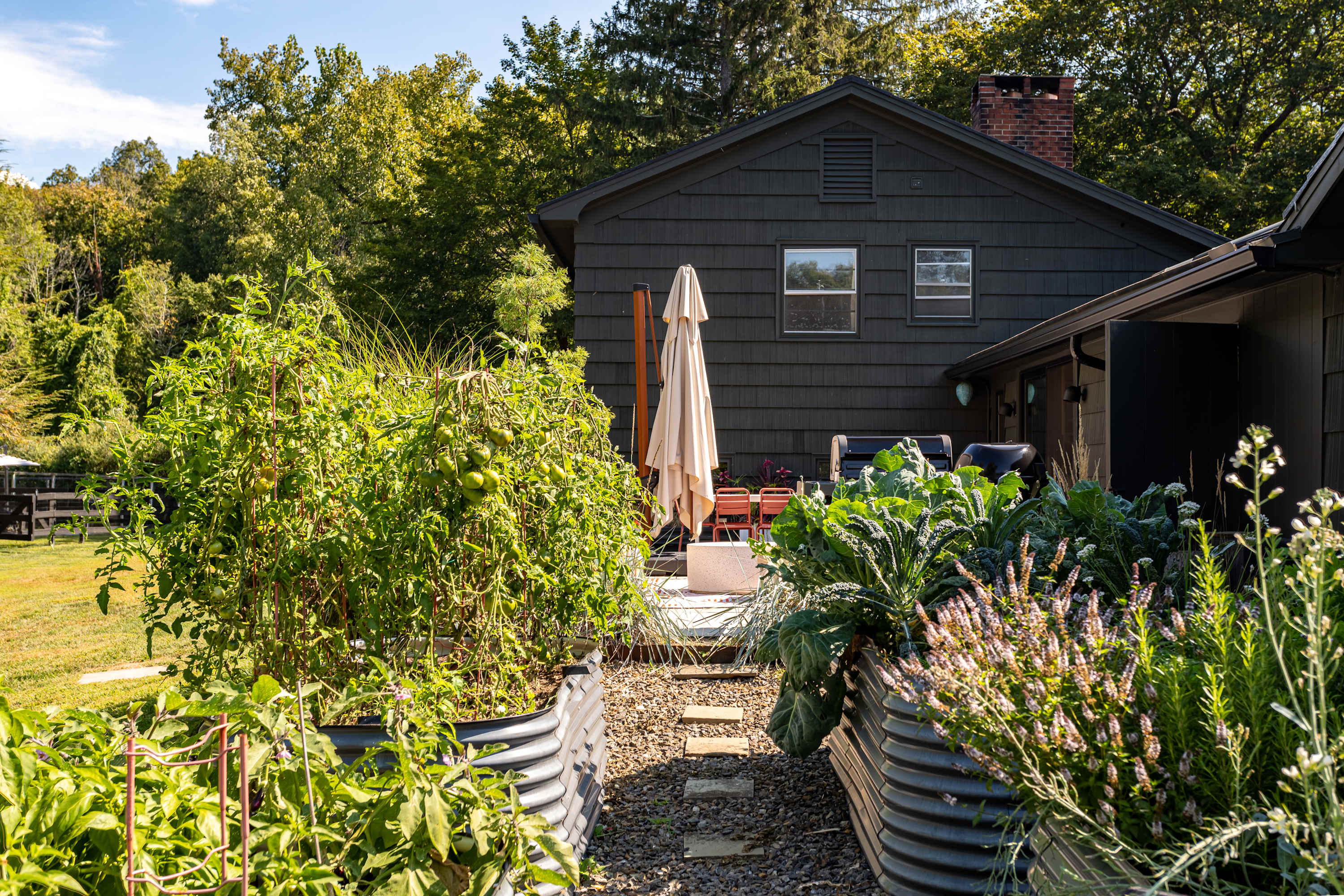 A vibrant garden with raised beds full of green plants and ripening tomatoes leads to a stone patio with outdoor seating and a grill, set against the dark-sided exterior of a house with a chimney, surrounded by lush trees.