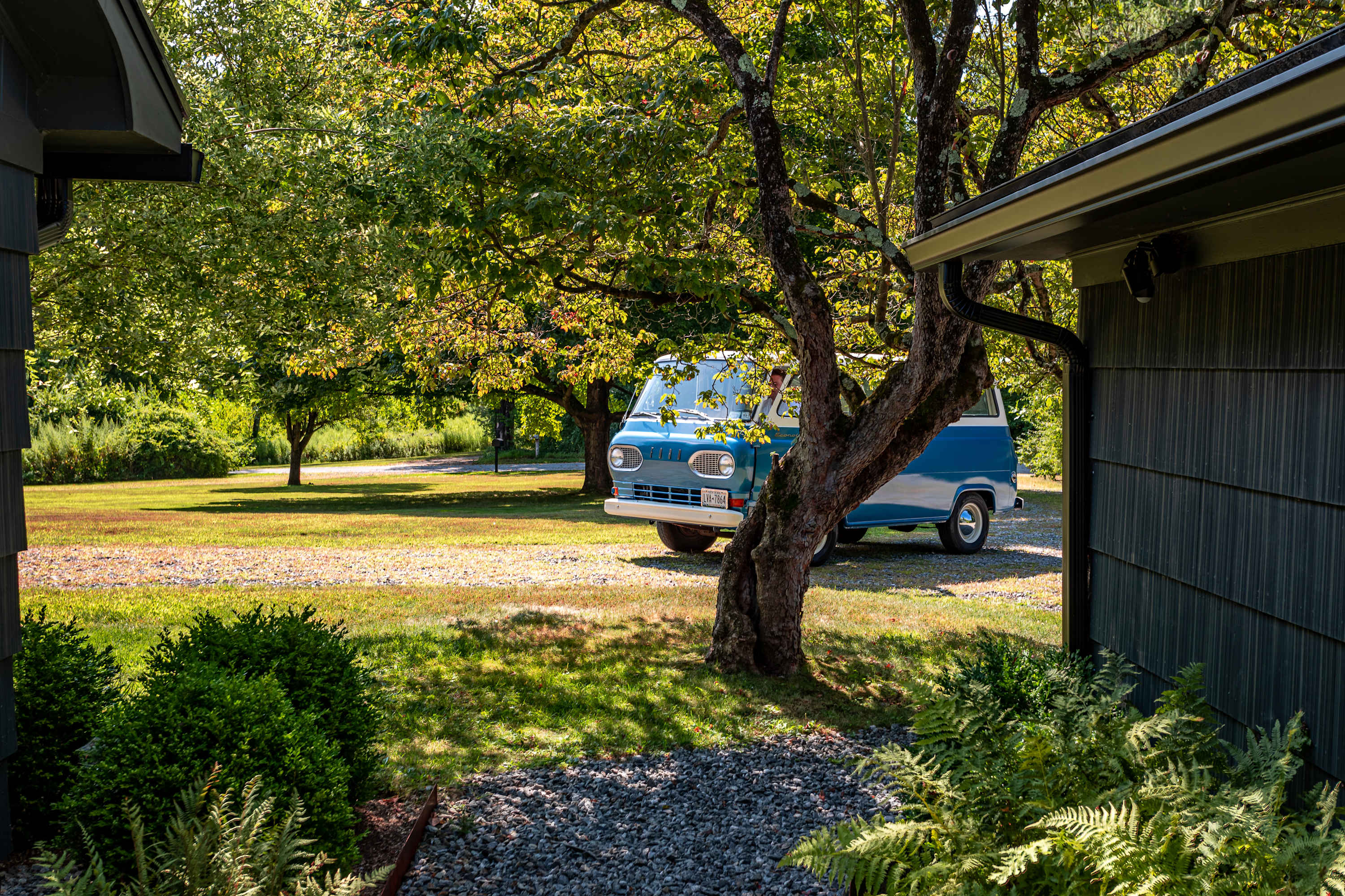 A vintage blue and white van is parked on a gravel driveway, partially obscured by a large tree with green leaves, with a dark-sided house visible on the right and a grassy lawn in the background under a bright sky.