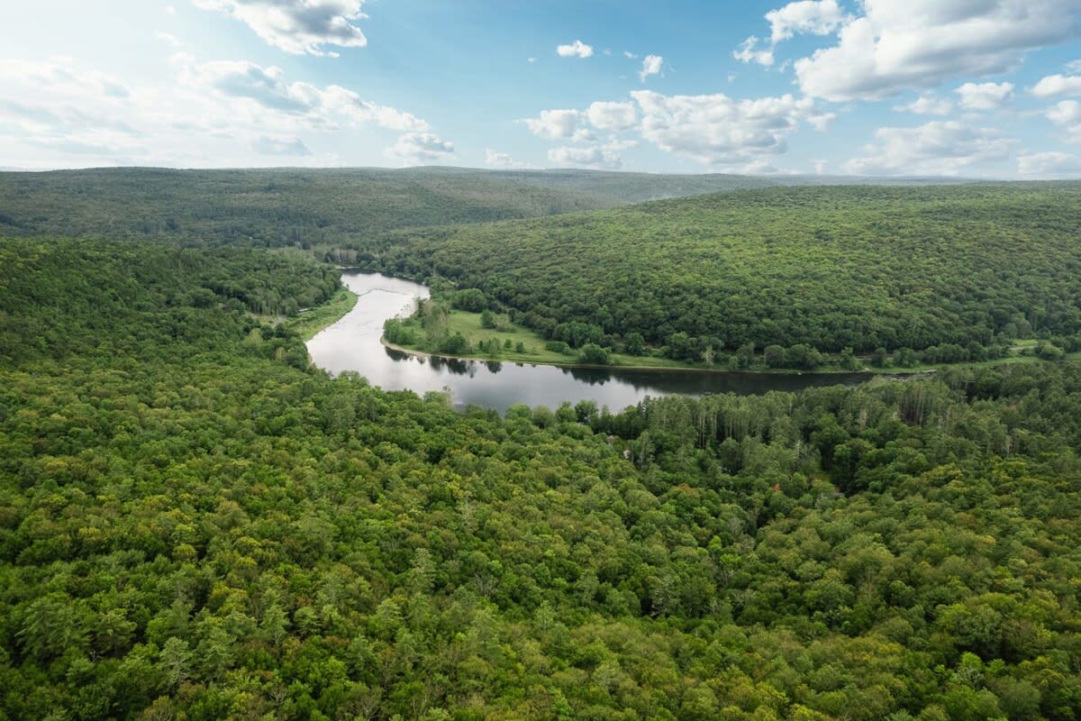 Breathtaking aerial view of a winding river snaking through a vast, dense expanse of lush green forest under a bright blue sky with scattered white clouds, showcasing the property's secluded natural surroundings.