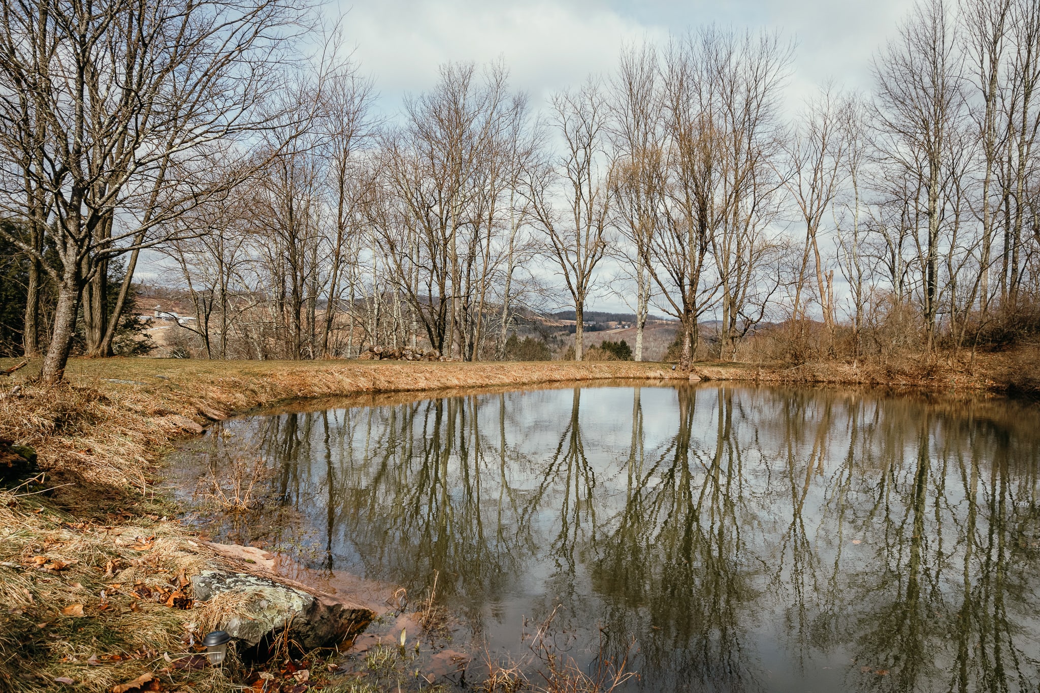A serene natural pond reflecting the cloudy sky and bare trees, surrounded by dry grass and sparse vegetation. The water's surface is calm, mirroring the winter landscape.
