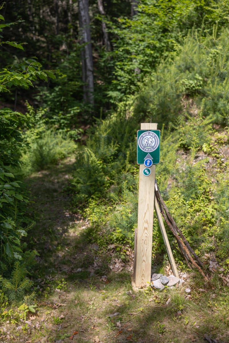 A rustic wooden post with a green "Hiking Trail" sign marks the entrance to a narrow, grassy path winding into a dense, lush green forest.