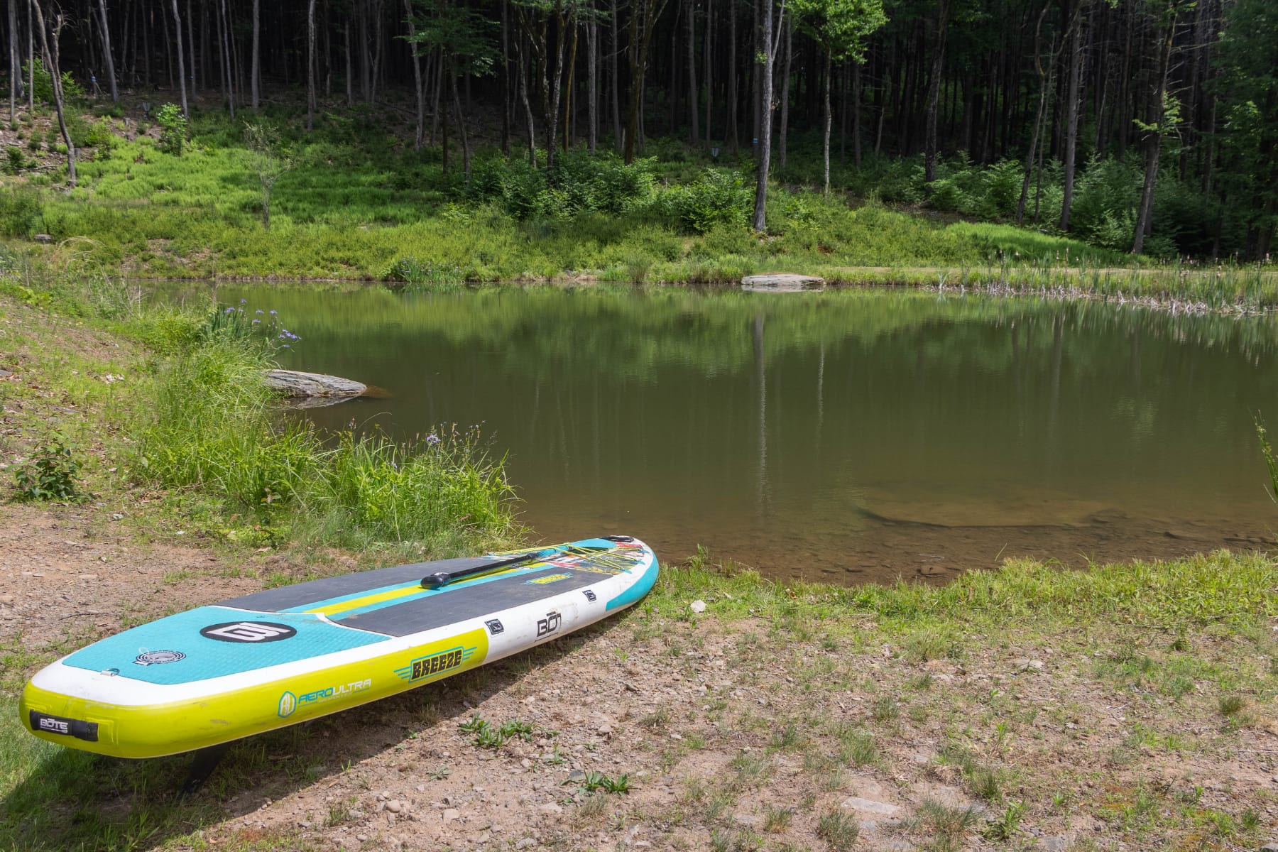 Calm pond surrounded by lush green foliage and tall trees, with a colorful paddleboard resting on the grassy bank. The water reflects the surrounding greenery under a bright sky.