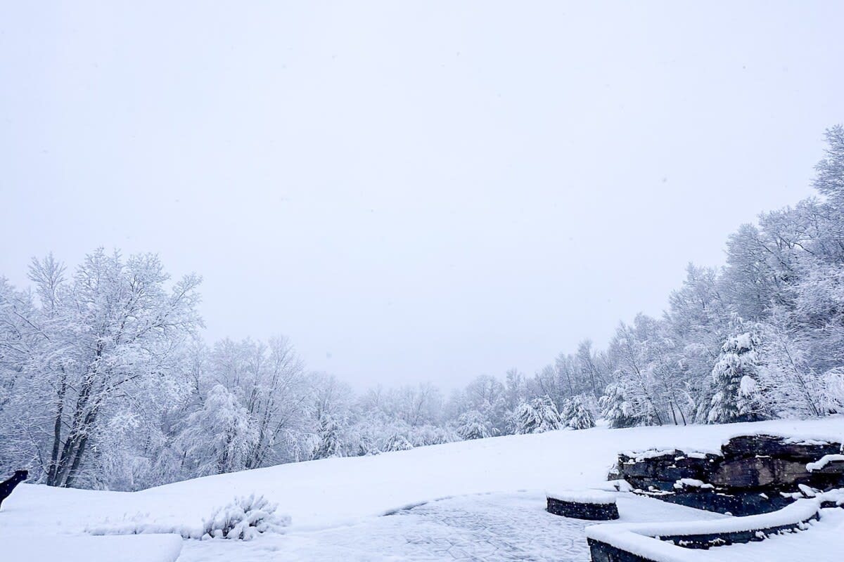 A serene winter landscape blanketed in fresh snow, with a paved patio area in the foreground leading to a vast expanse of snow-covered ground and dense, snow-laden trees under a soft, overcast sky.