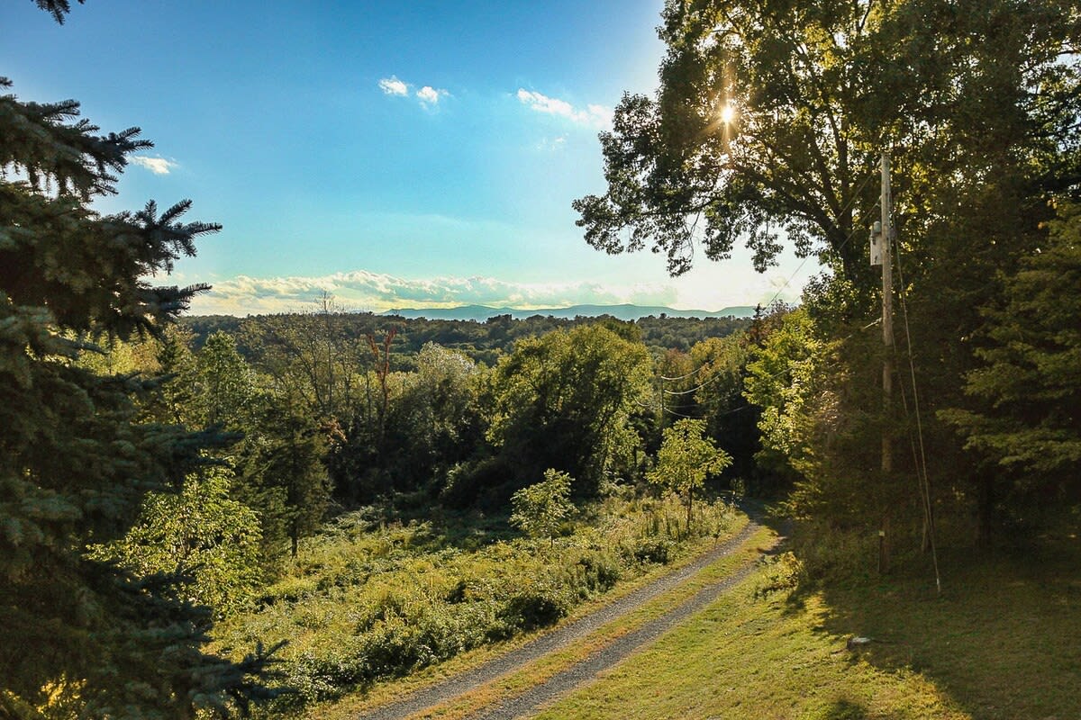 A breathtaking panoramic view of a lush green valley and distant mountains under a bright blue sky with scattered clouds. A dirt road winds through the verdant landscape, framed by tall trees in the foreground.