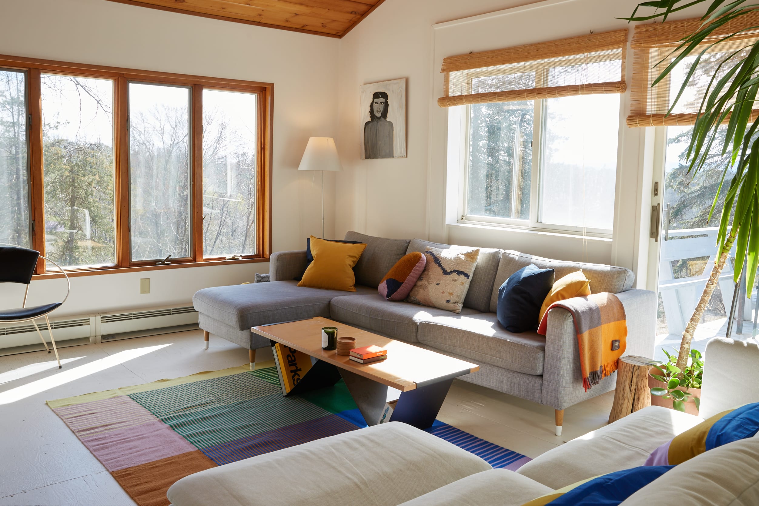 Sunny living room featuring a gray sectional sofa with colorful pillows, a wooden coffee table, and a vibrant striped rug. Large windows offer views of the surrounding trees, with a tall plant adding greenery.