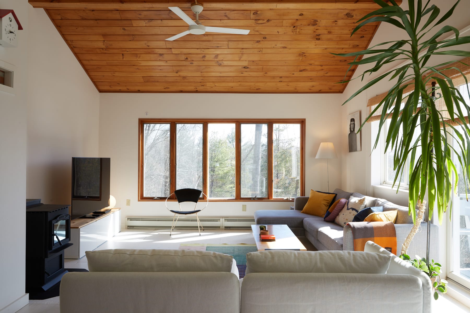 Bright and airy living room with a large grey sectional sofa, a white ceiling fan, and a warm wooden plank ceiling, featuring expansive windows that offer views of a wooded landscape.