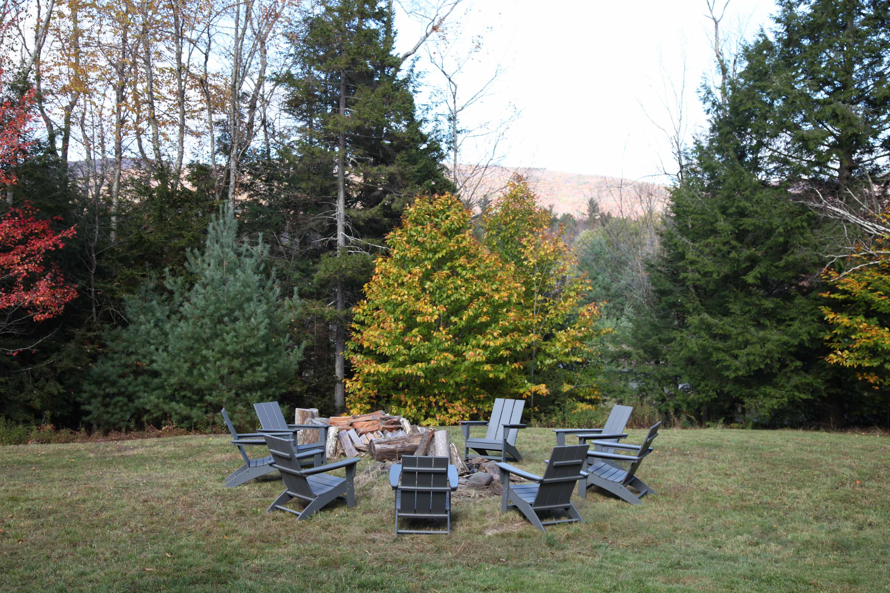 An outdoor fire pit area surrounded by grey Adirondack chairs on a grassy lawn, backed by a dense forest with autumn foliage. A pile of logs is ready for a bonfire.