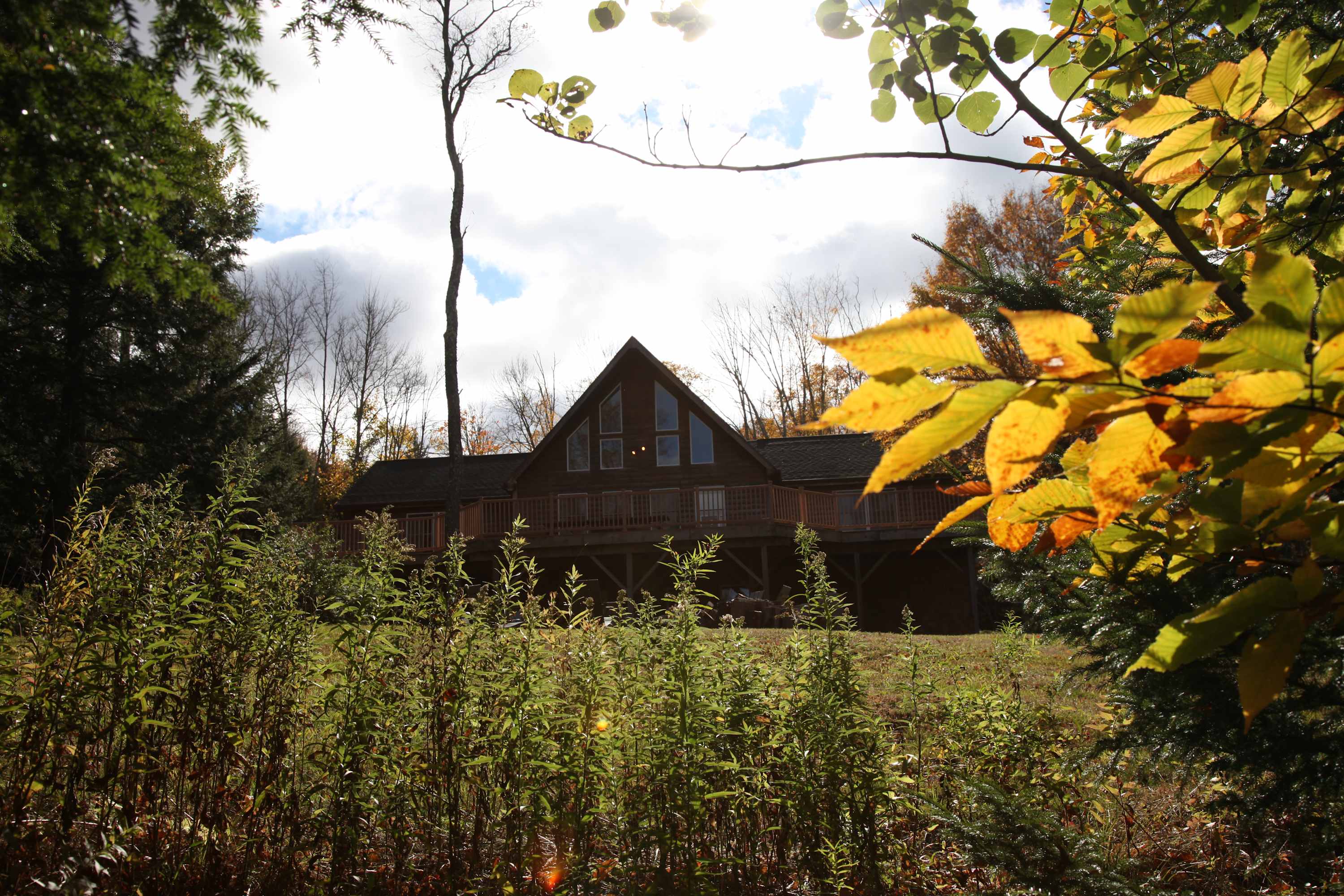 Scenic view of the wooden cabin's back exterior, partially obscured by lush green and yellow autumn foliage. The house features multiple windows and a large deck, blending into the natural, wooded surroundings.