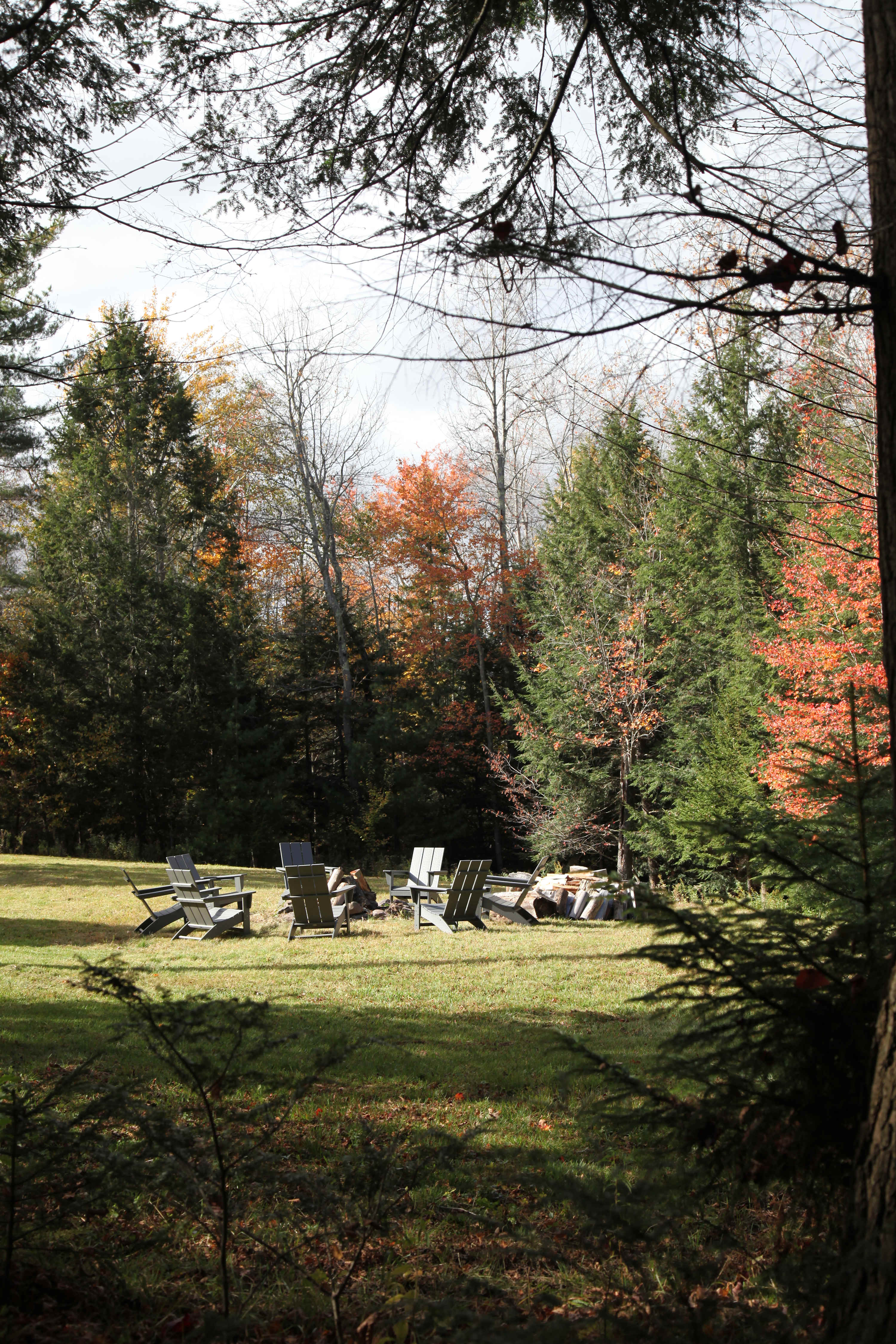 A rustic fire pit with stacked logs and a ring of grey Adirondack chairs is situated on a sunlit grassy patch, framed by the dappled light filtering through surrounding evergreen and autumn-colored trees.