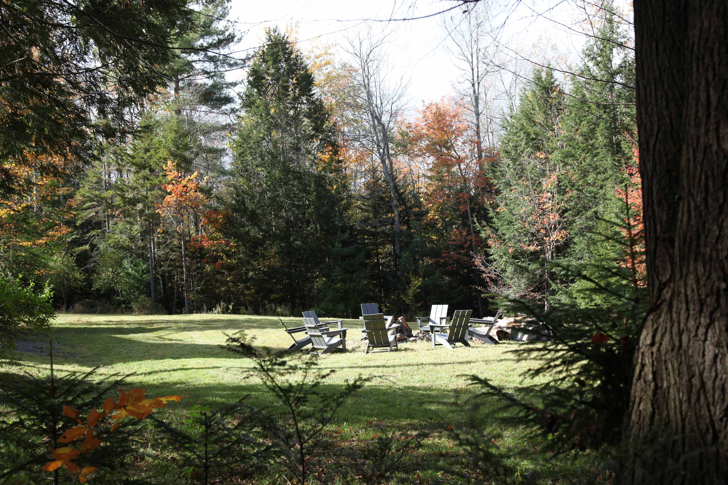 A cozy fire pit area with several grey Adirondack chairs is nestled in a sun-dappled grassy clearing, framed by dense evergreen and deciduous trees displaying early autumn colors. The scene is viewed through foreground foliage.
