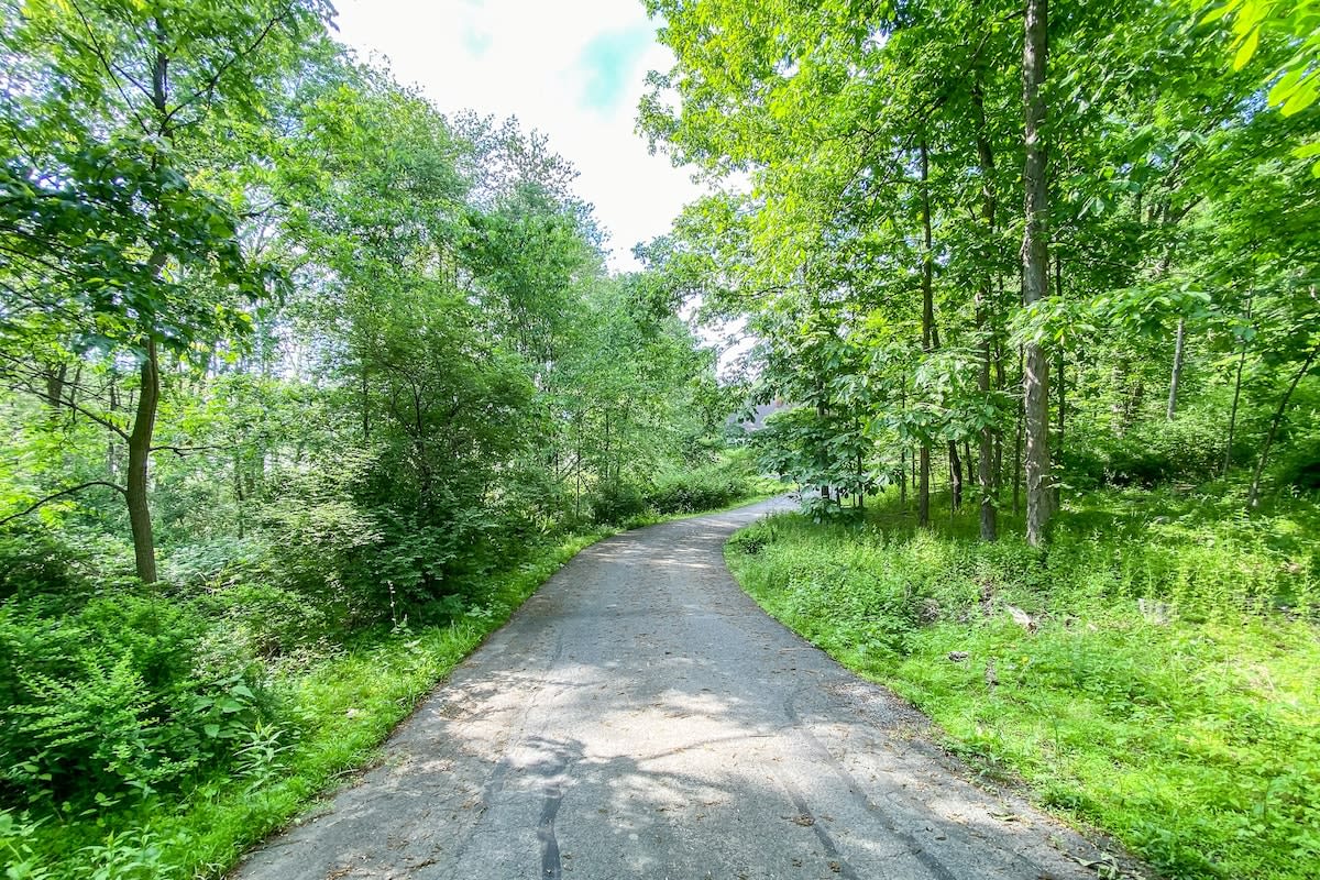 Paved, winding road or driveway surrounded by dense, vibrant green foliage and tall trees, suggesting a secluded and natural setting. Sunlight filters through the canopy, dappling the path.