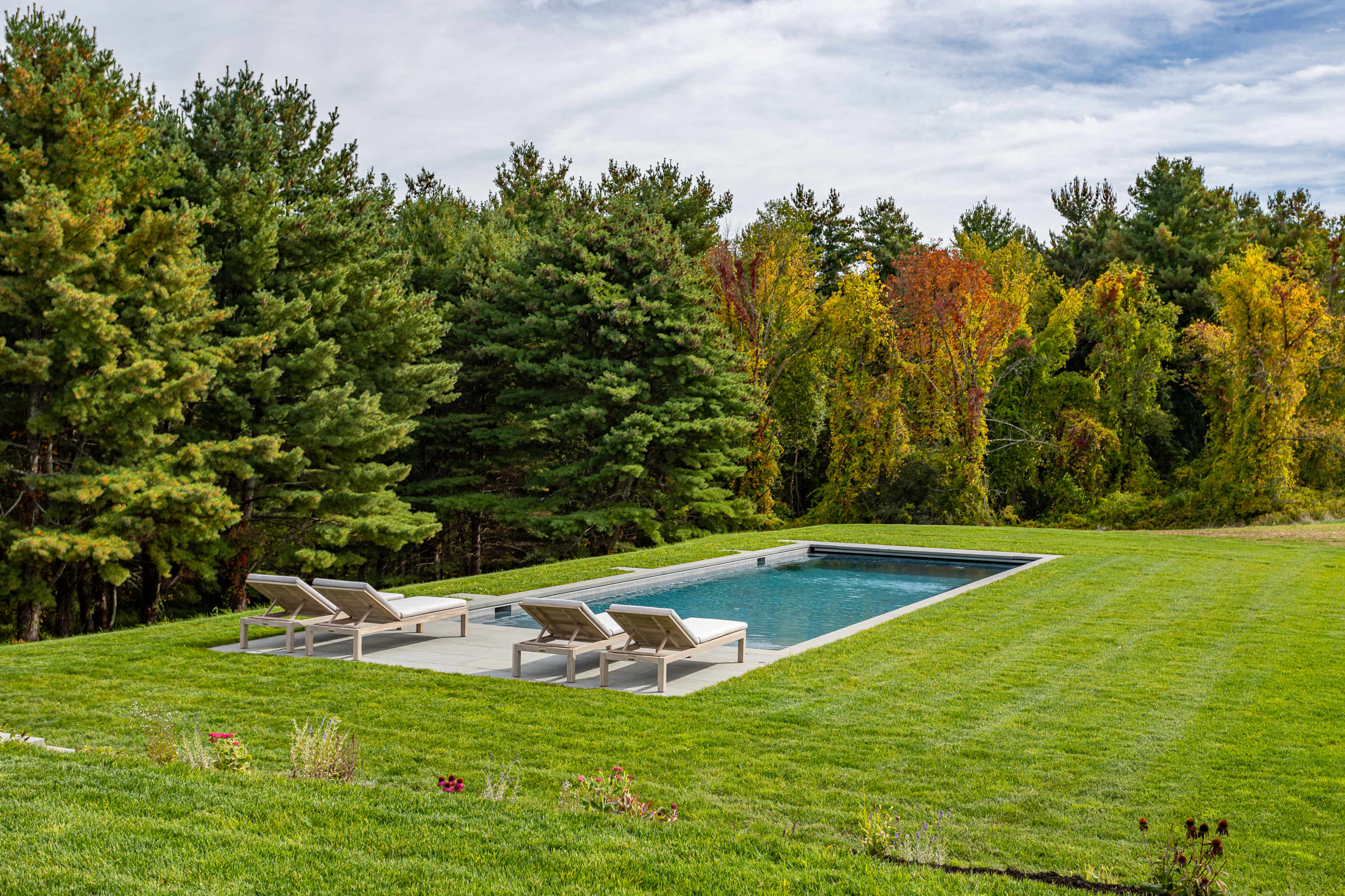 Rectangular swimming pool with a dark blue interior, surrounded by a gray concrete deck and four modern lounge chairs on a vibrant green lawn, backed by a dense line of evergreen and autumn trees.