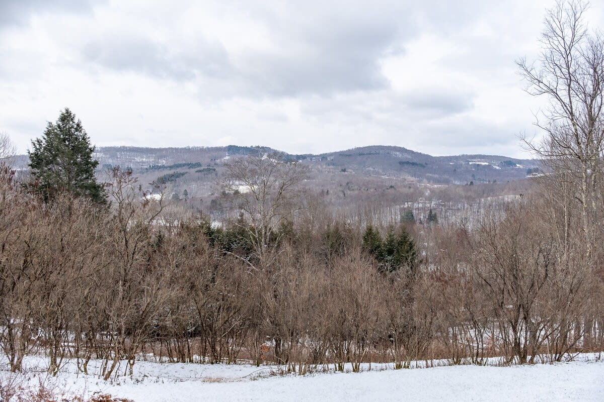 A serene winter landscape features a foreground of snow-dusted bare trees and evergreens, with rolling, snow-covered mountains and hills visible in the distance under a soft, cloudy sky.
