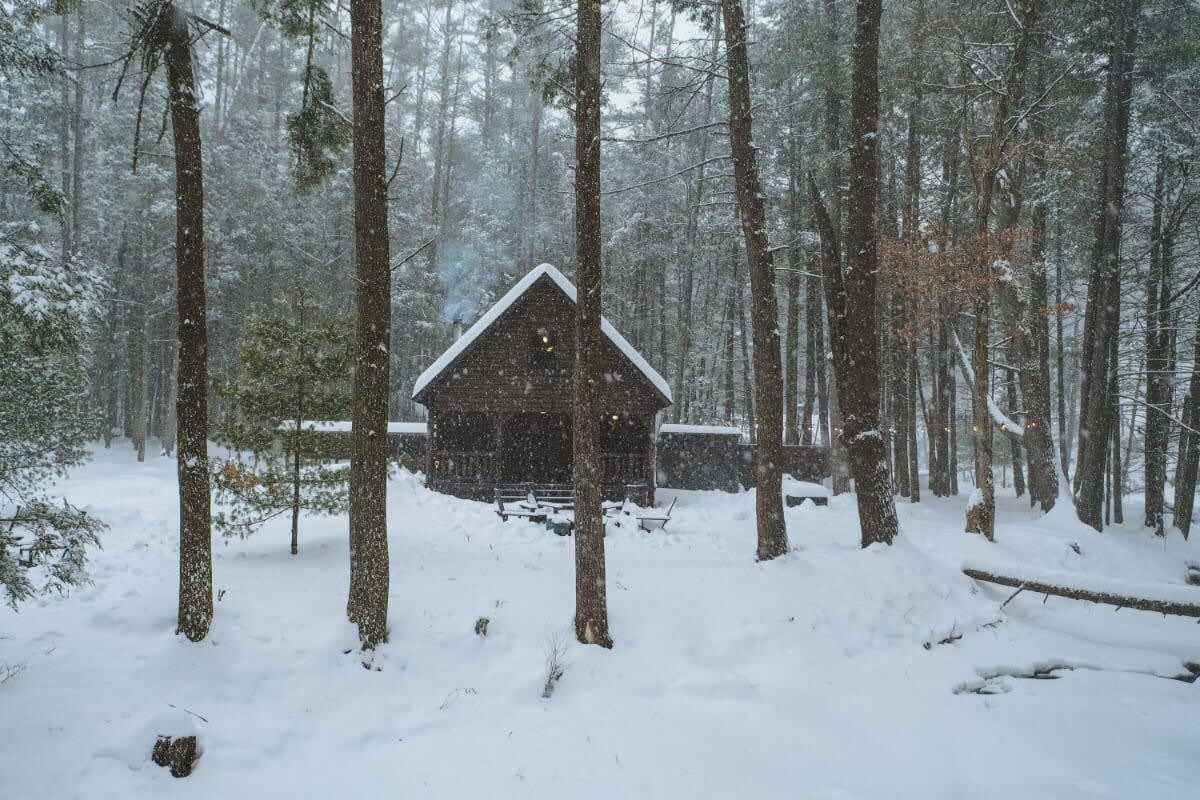 Rustic log cabin partially obscured by tall, snow-covered trees during a winter snowfall. The ground is blanketed in fresh white snow, creating a serene, secluded atmosphere.