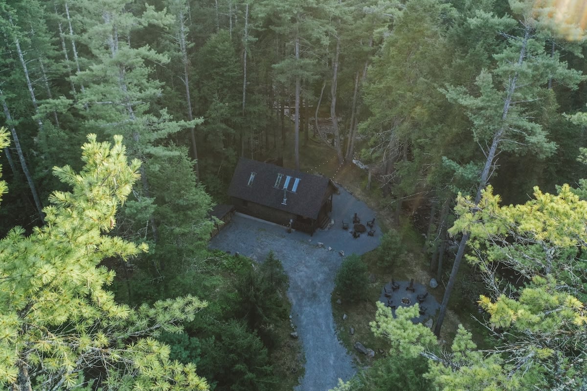 High aerial view of a dark wood cabin with a dark shingled roof and skylights, situated in a clearing within a dense, lush green forest. A winding gravel path leads to the cabin and an outdoor seating area.