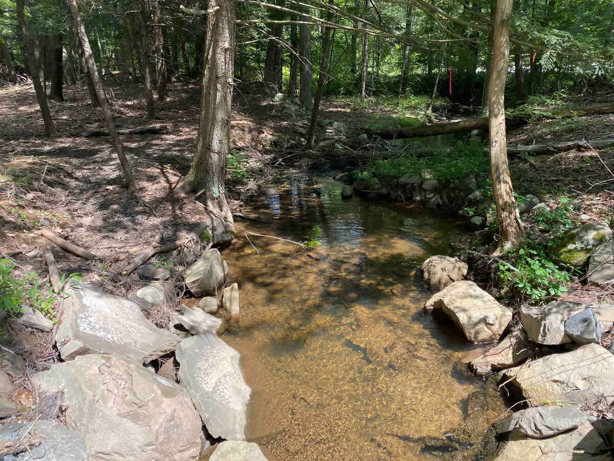A clear, shallow stream flowing over rocks and pebbles through a sun-dappled wooded area, surrounded by trees and green undergrowth.