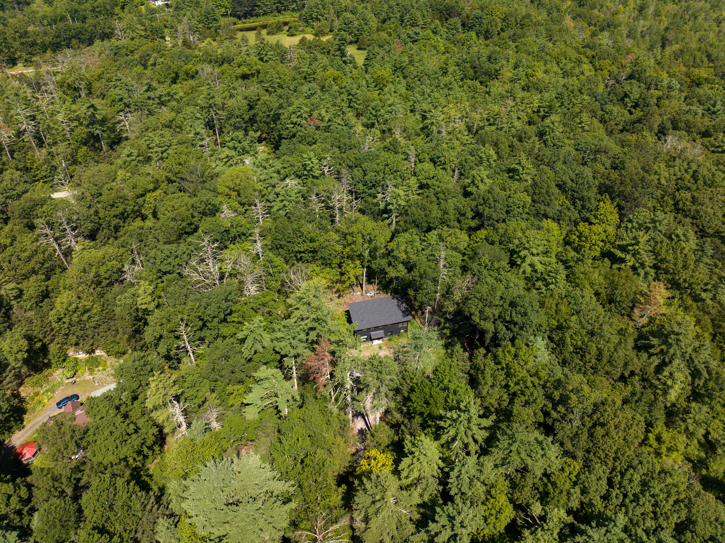 Aerial view of a dark-colored house nestled deep within a vast, dense green forest, showcasing the secluded natural setting.