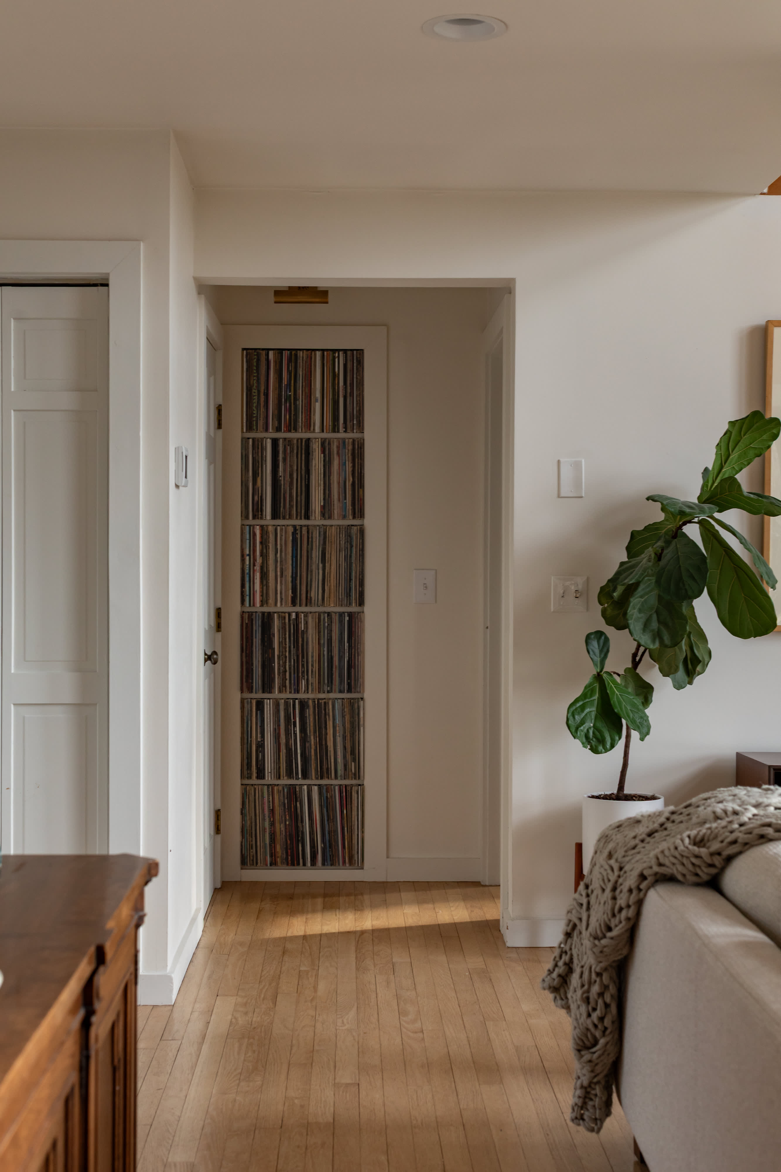 A bright hallway features light hardwood floors, a vibrant fiddle leaf fig plant, and a unique door with built-in shelving filled with a collection of vinyl records, adding a personal touch.