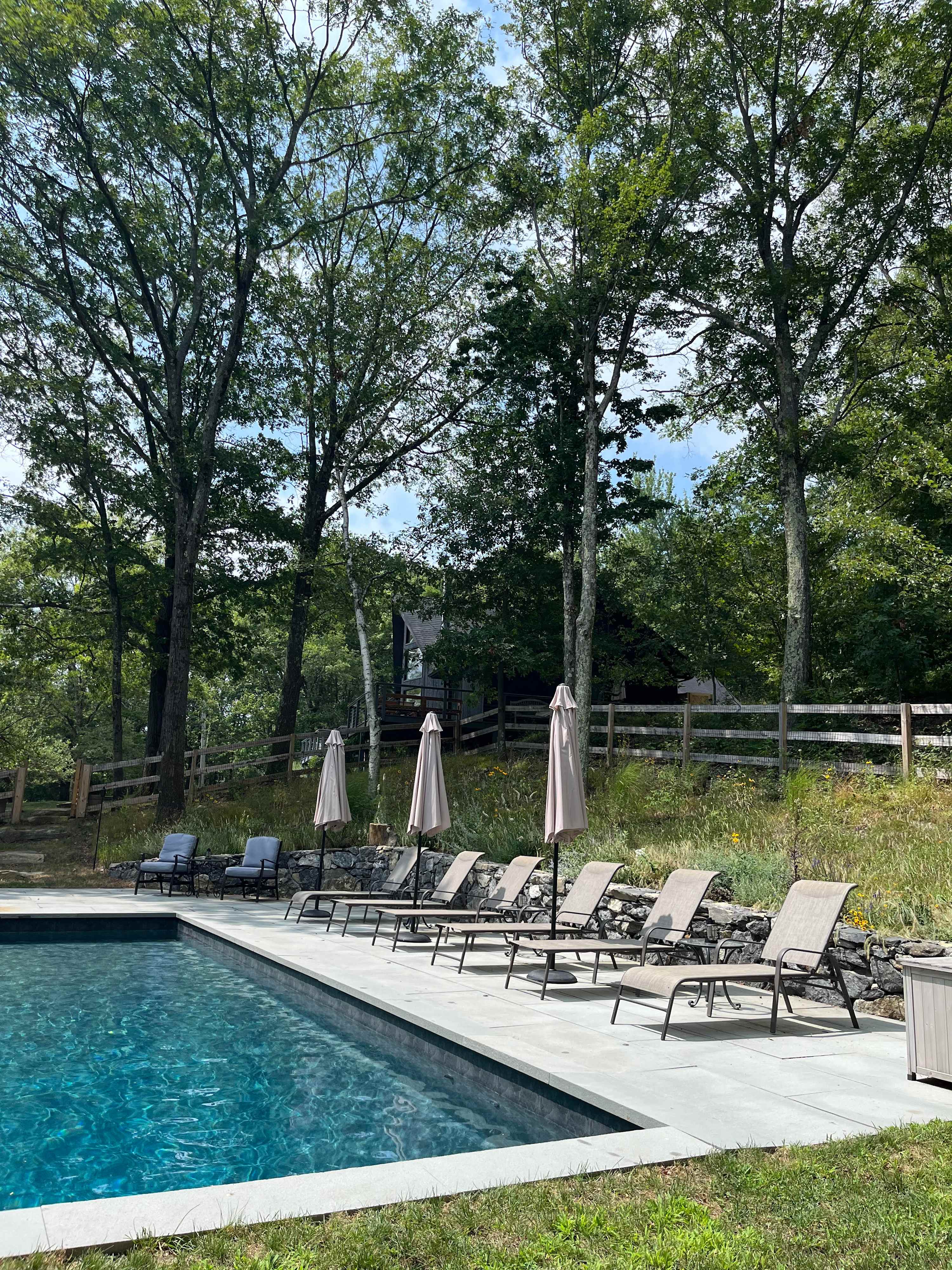 An outdoor swimming pool area with a light concrete deck is furnished with multiple lounge chairs and umbrellas, set against a backdrop of lush green trees and a distant wooden fence.