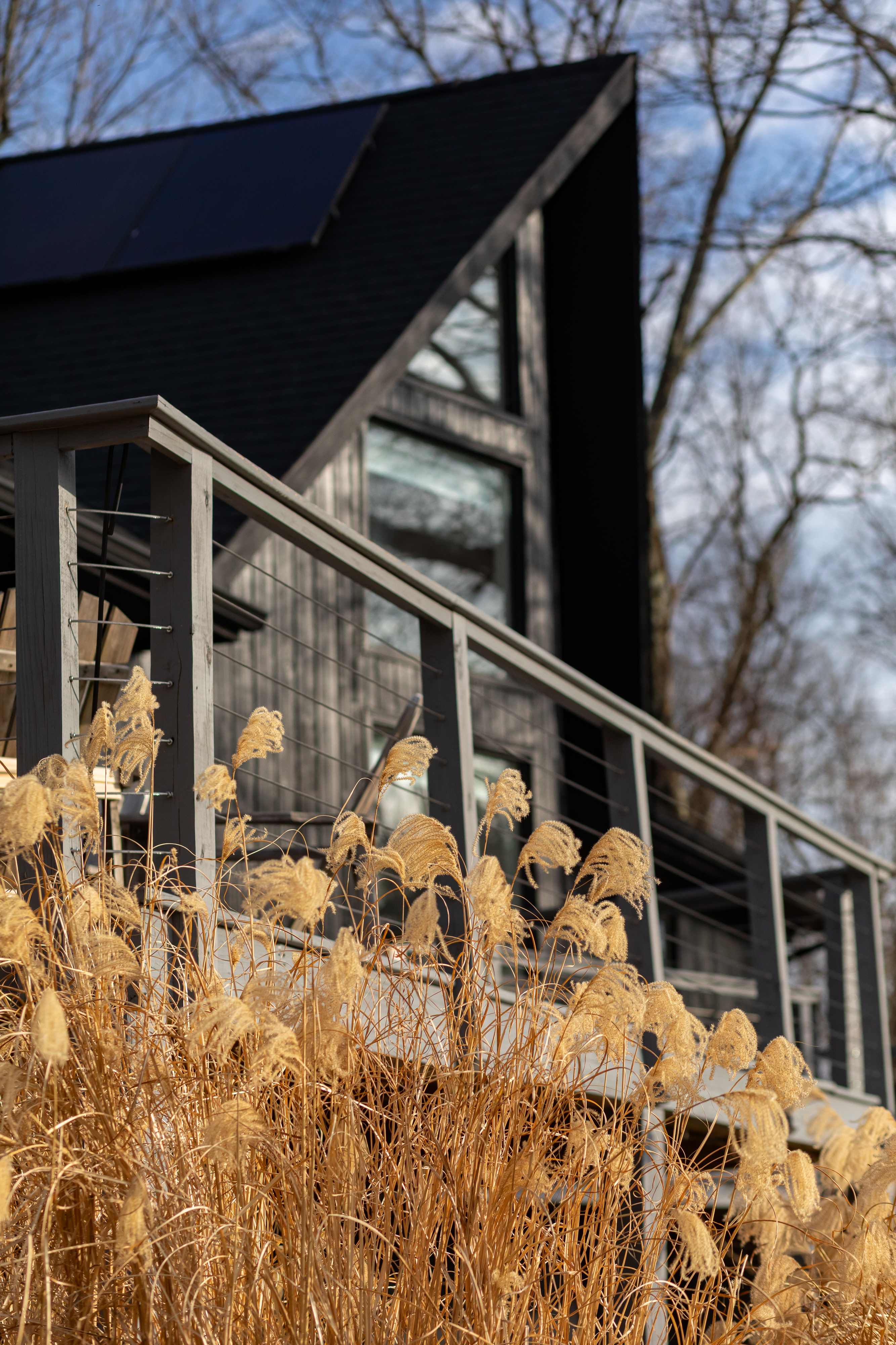 A modern A-frame house with a dark roof and solar panels is partially obscured by tall, golden ornamental grasses in the foreground, showcasing a contemporary exterior design.