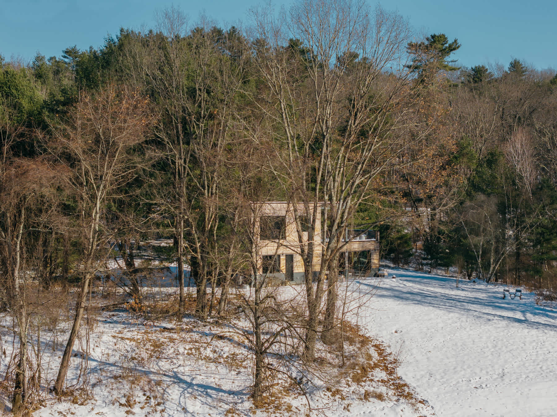 The modern house, with its light wooden siding, is visible through a screen of bare trees, set against a snow-covered field and a dense forest backdrop.
