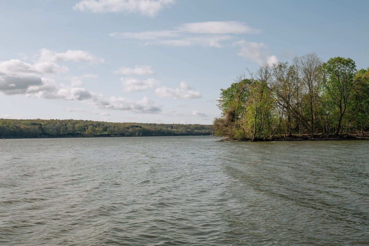 Expansive view of a wide, calm river under a partly cloudy sky, with a lush, tree-lined bank on the right and a distant wooded shoreline across the water.