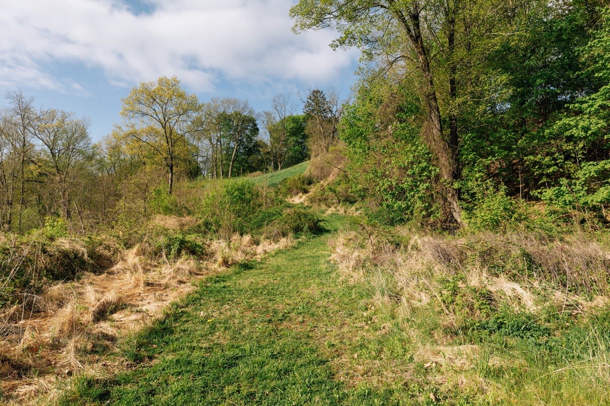 A narrow grassy path winds uphill through a natural landscape featuring patches of dry golden grass, emerging green foliage, and mature trees under a bright sky.