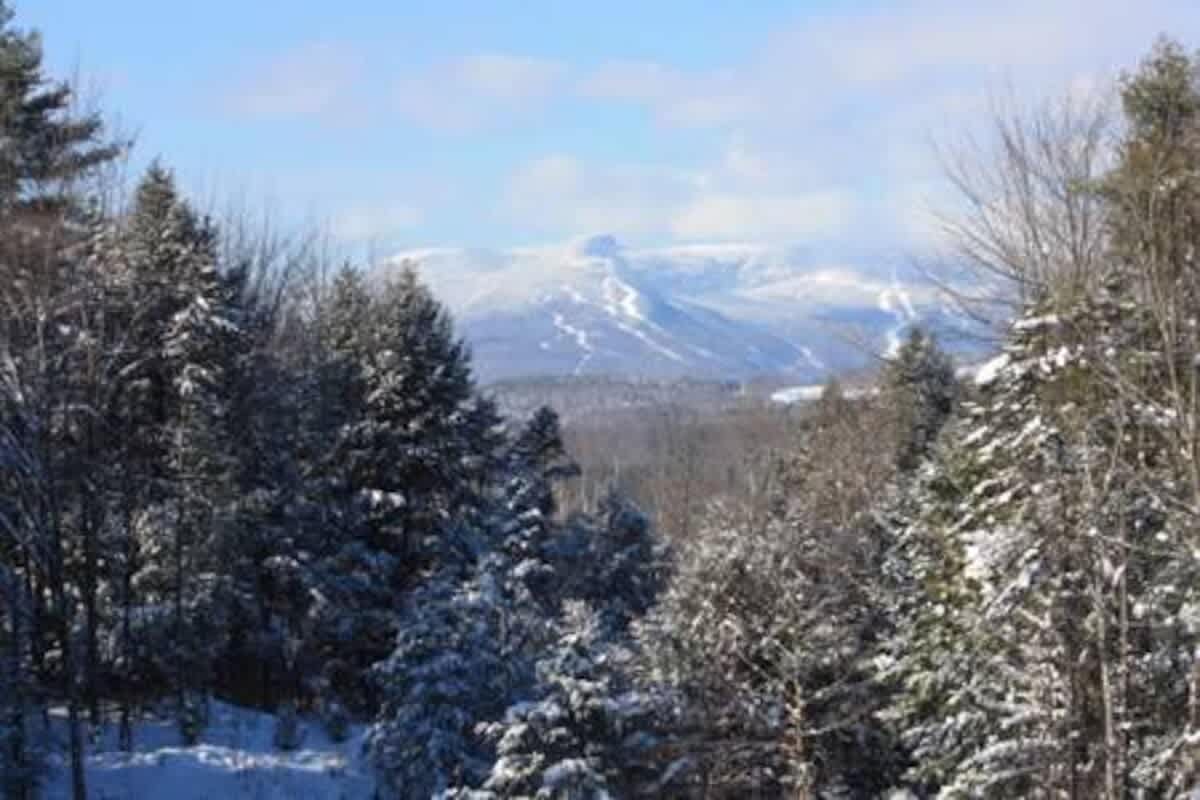 A panoramic winter landscape showcases snow-covered evergreen trees in the foreground, with a majestic snow-capped mountain range featuring ski slopes in the background under a clear blue sky.