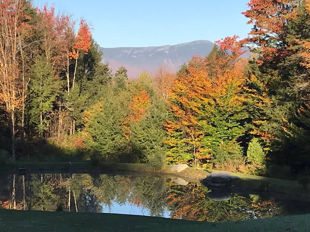 A serene pond reflects vibrant autumn foliage and evergreen trees, with a distant mountain peak visible under a clear blue sky, showcasing seasonal beauty.