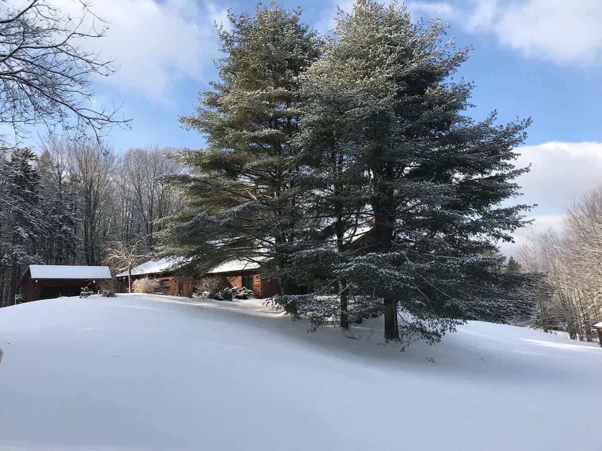 A winter exterior view of the house, partially obscured by two large snow-covered evergreen trees, set against a bright blue sky with white clouds. The surrounding landscape is covered in deep snow.