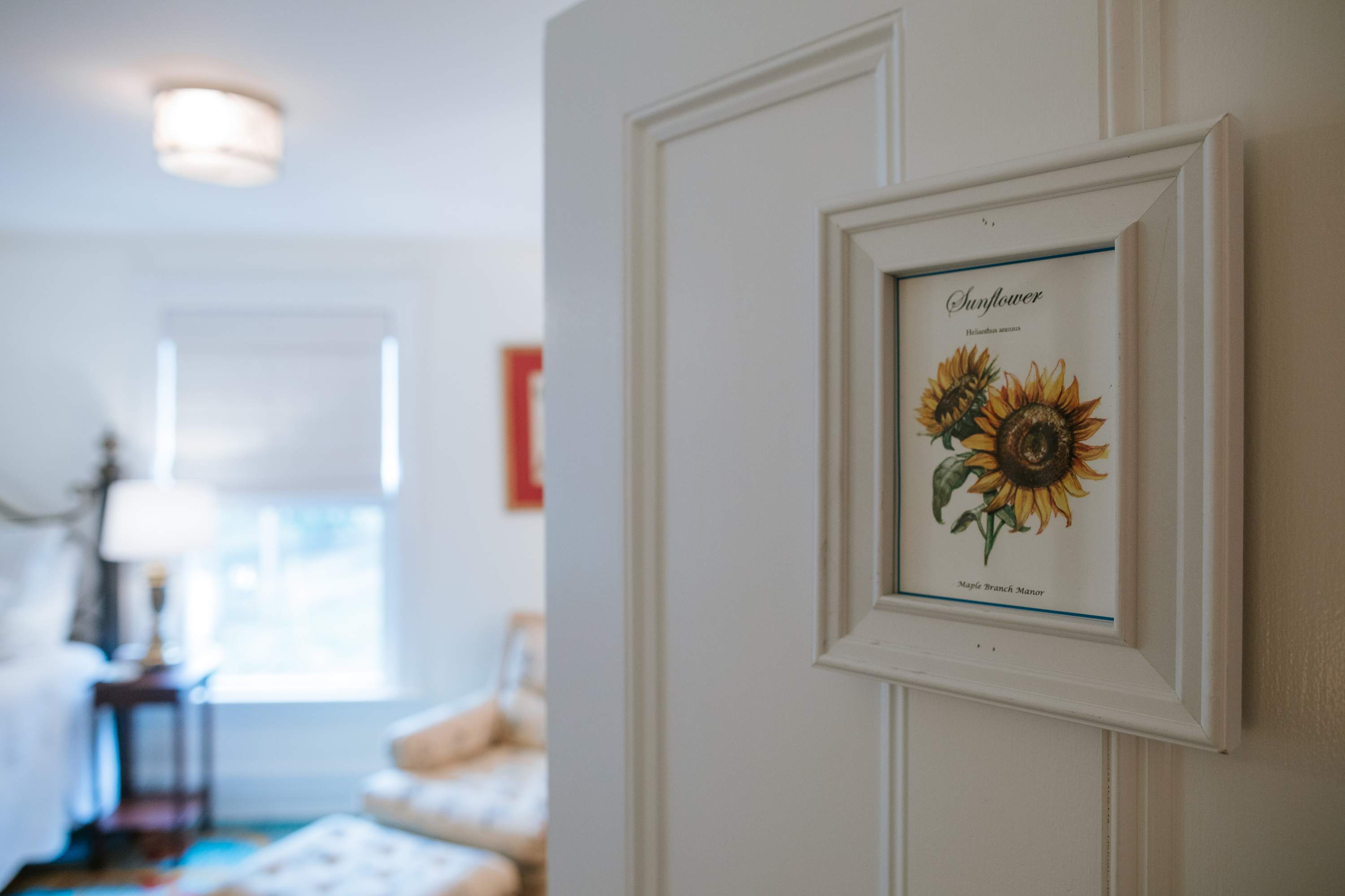 A framed botanical print of "Sunflower" is mounted on a white paneled wall, with a soft-focus view of a bedroom featuring a metal bed frame, a side table with a lamp, and a window in the distance.