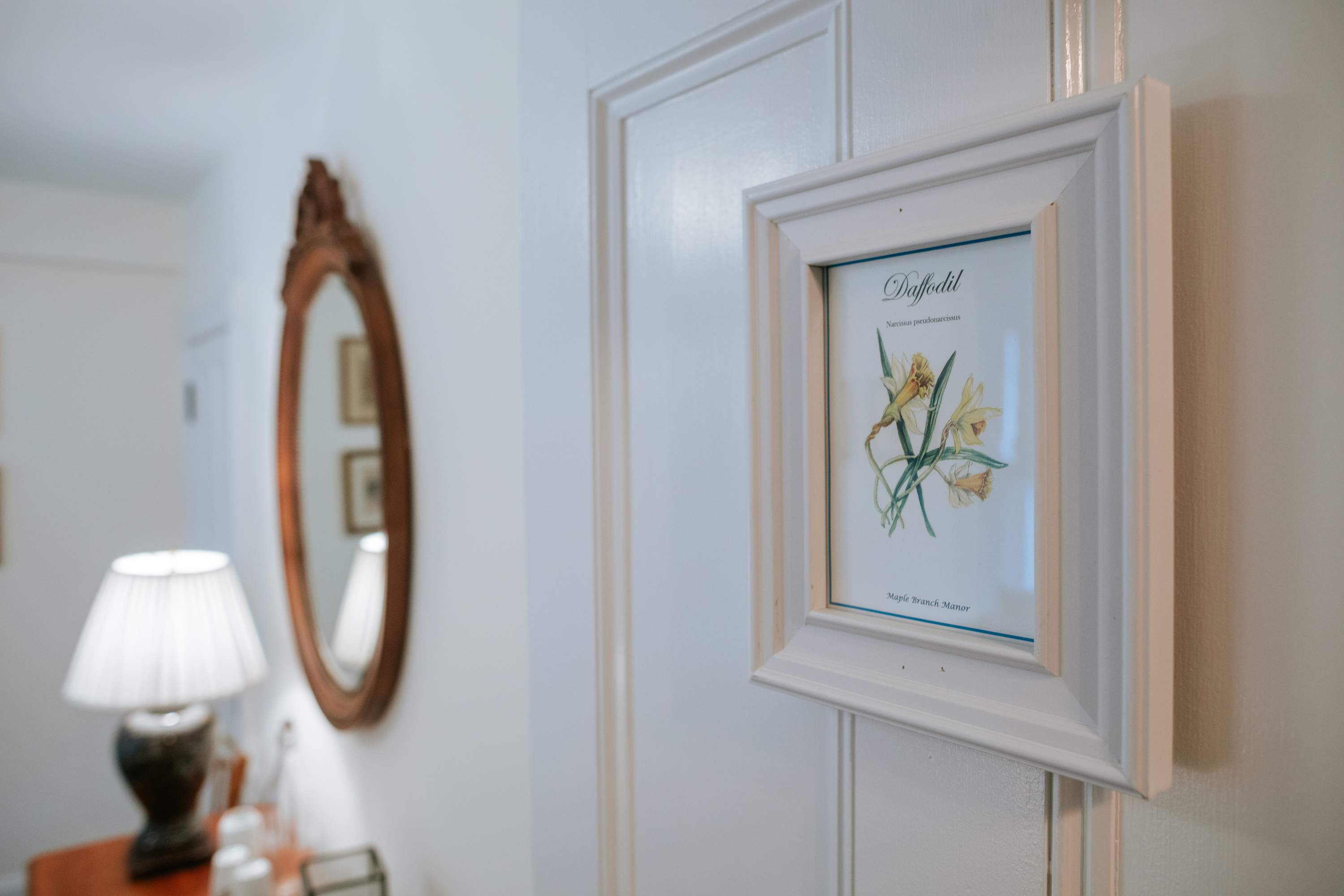 A close-up of a white framed botanical print of a daffodil hanging on a white paneled door, with a blurred ornate mirror and a lamp visible in the background, suggesting a hallway or room entrance.