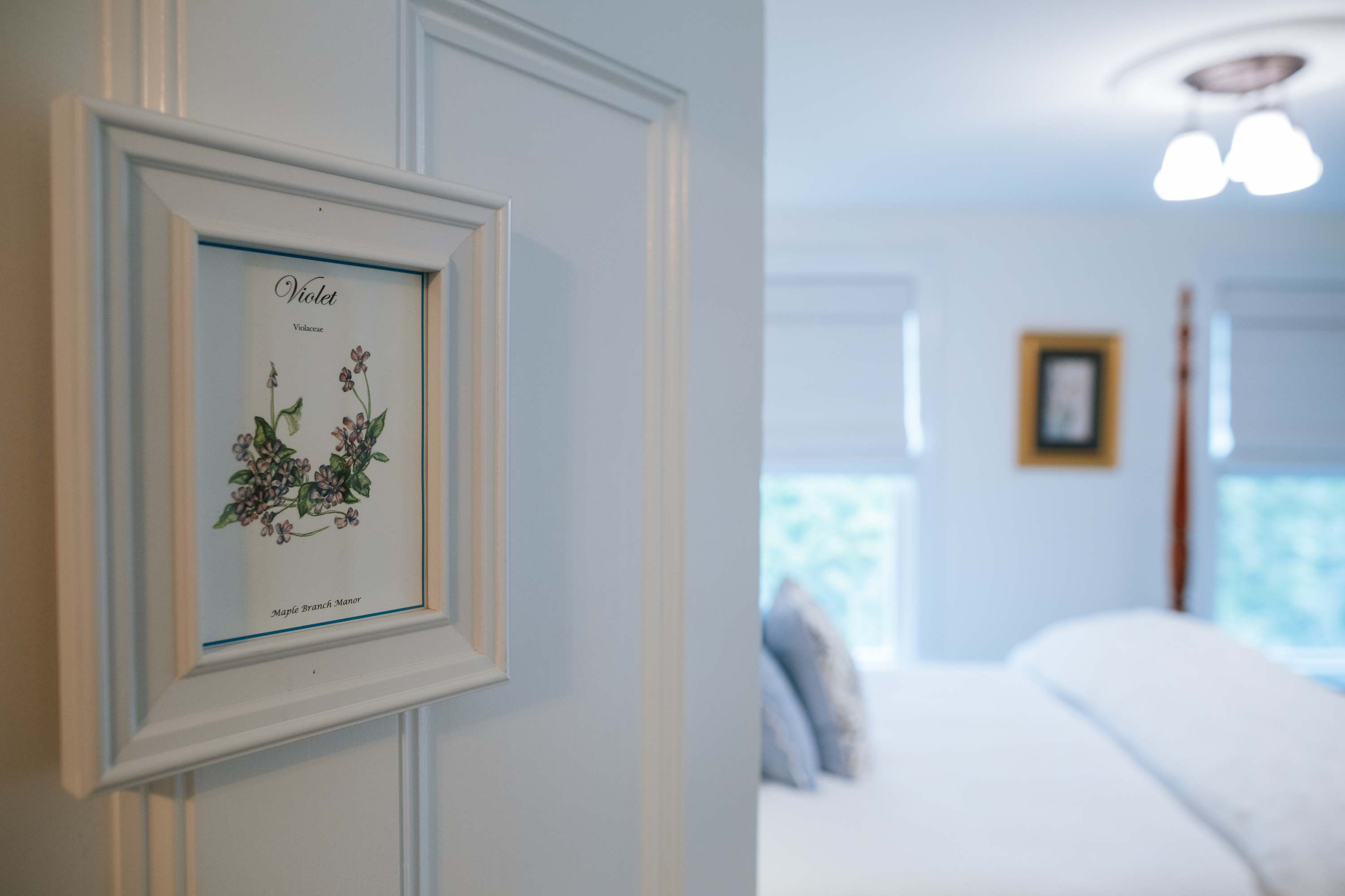 A framed botanical print of "Violet" adorns a white paneled wall, offering a glimpse into a bright bedroom with a four-poster bed, light-colored bedding, and a ceiling light fixture.