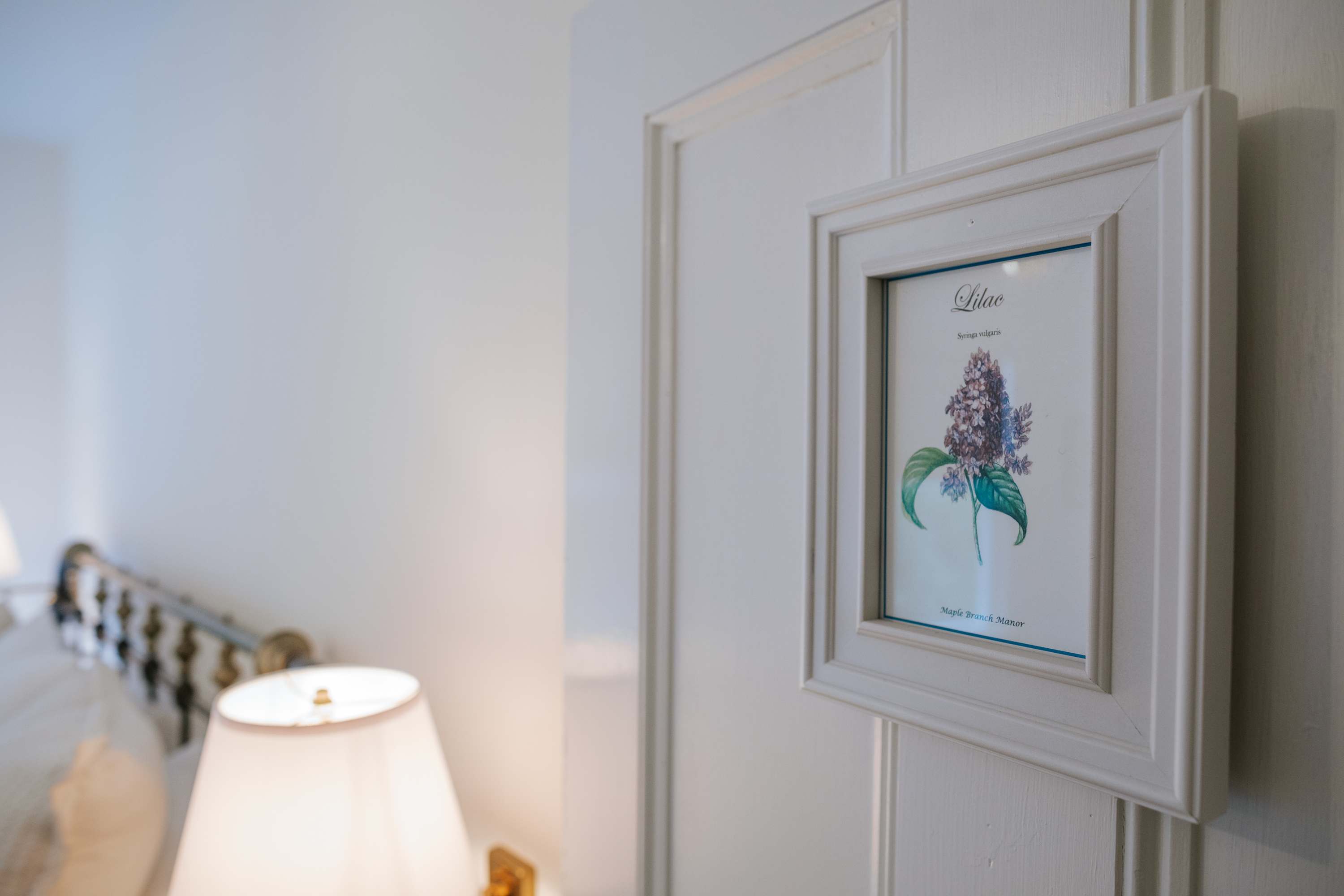 A framed botanical print of "Lilac" is displayed on a white paneled wall, with a soft-focus bedroom in the background showing a metal bed frame, a bedside lamp, and white bedding.