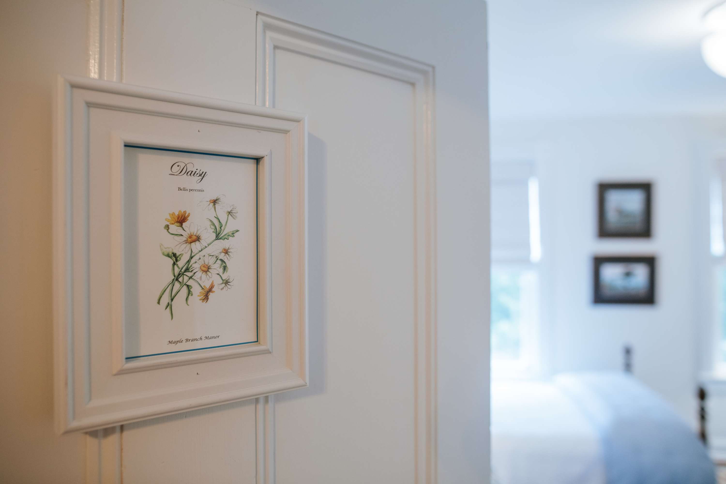 A framed botanical print of "Daisy" hangs on a white paneled wall, providing a blurred background view of a bedroom with a bed, wall art, and a window letting in natural light.