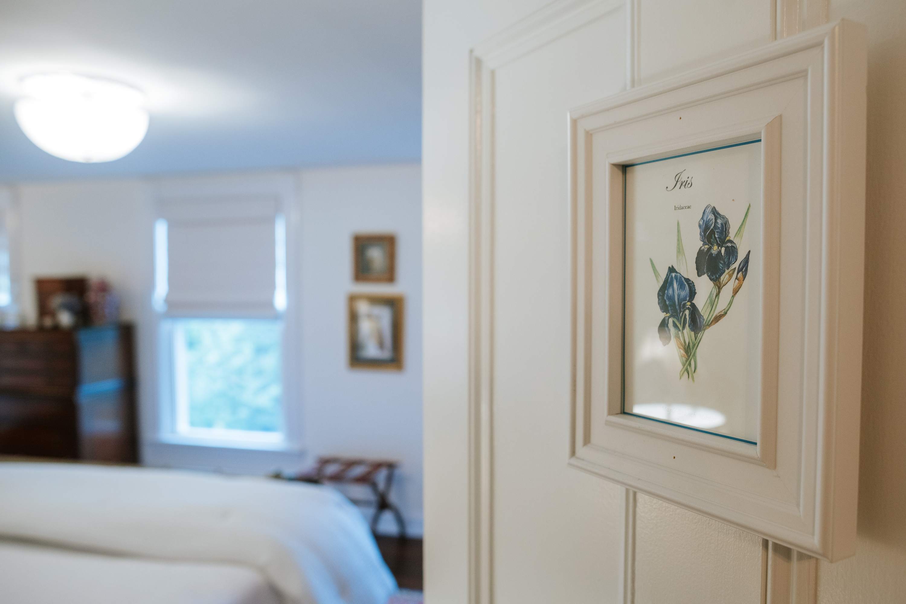 A framed botanical print of an "Iris" hangs on a white paneled wall, with a softly blurred view of a bright bedroom featuring a window with a white shade and a bed with crisp white linens in the background.