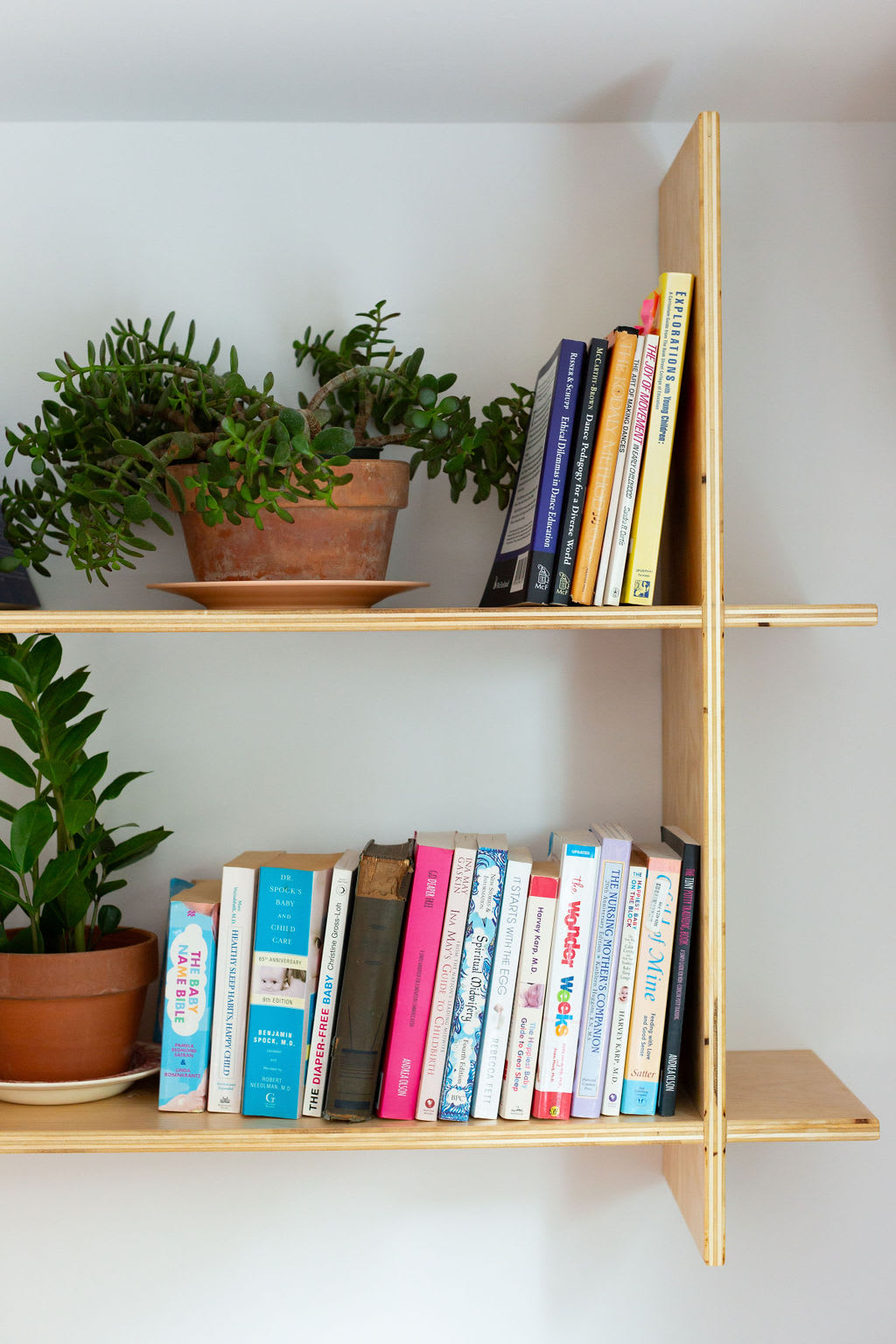 A close-up of a light wood modular bookshelf displaying various books and potted green plants, set against a white wall.