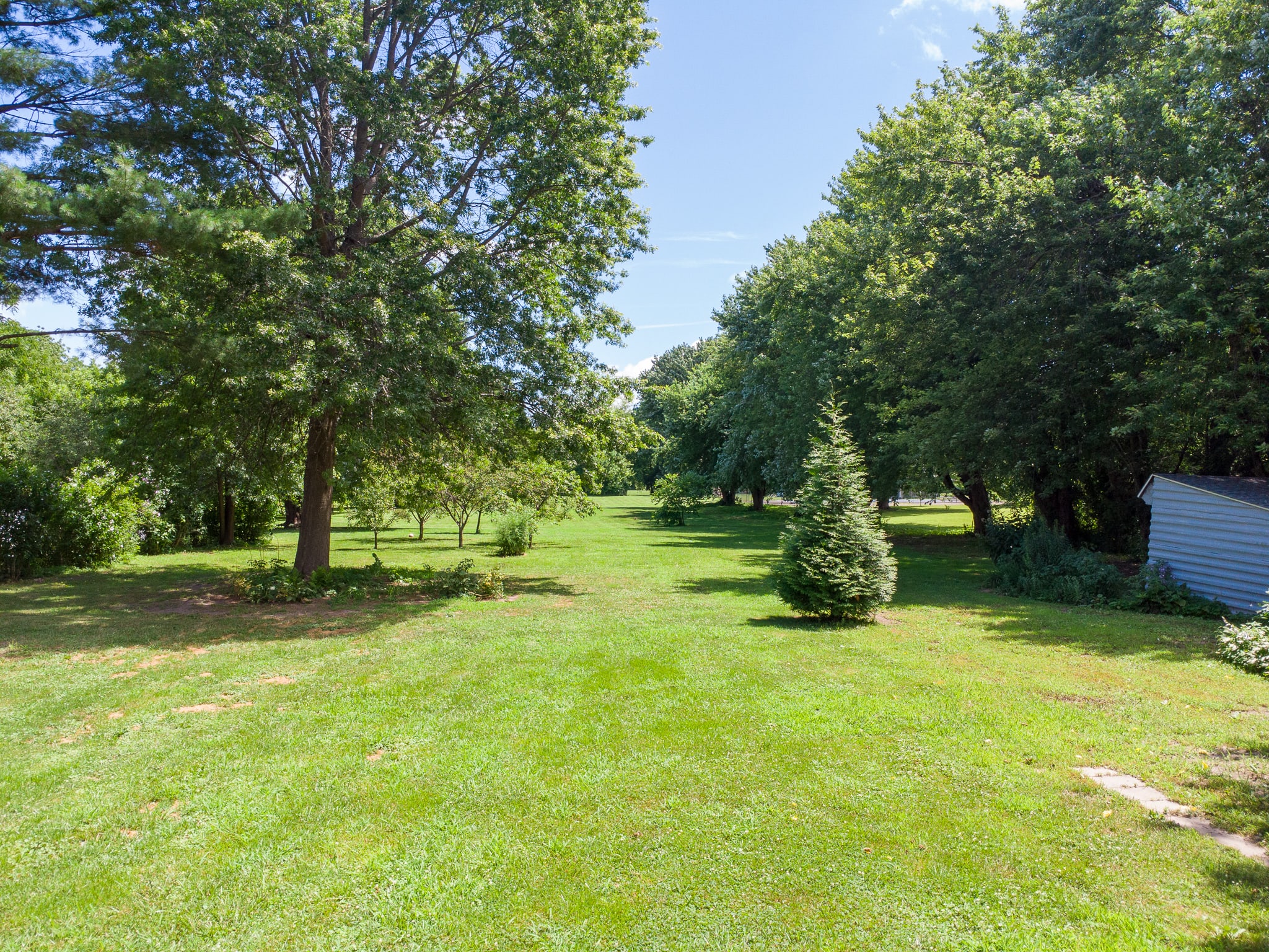 A spacious, well-maintained green yard surrounded by numerous mature trees under a clear blue sky, offering ample outdoor space.